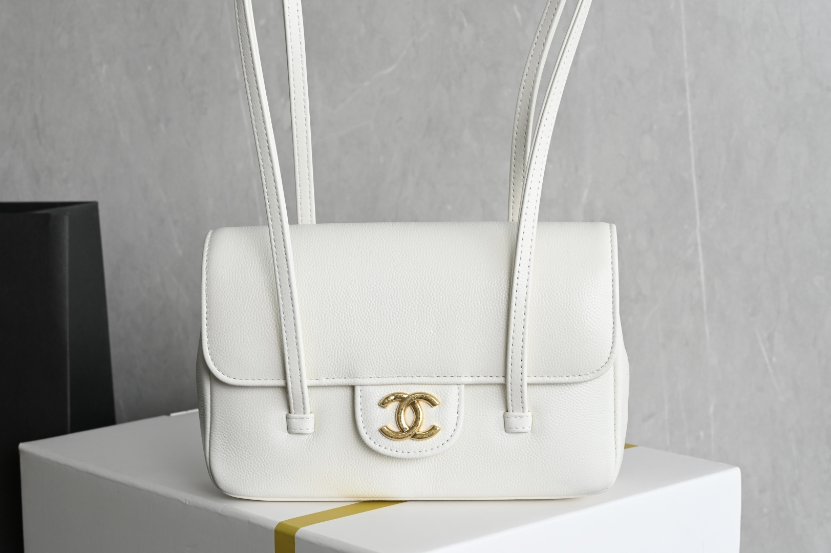 白金版▪️正品级 包装如图全新到货🆕𝗖𝗛𝗔𝗡𝗘* 𝟮𝟲𝗣 系列𝟮𝟲𝗣 𝙋𝙧𝙚𝙥𝙥𝙮 𝙘𝙤𝙘𝙤 腋下包 白