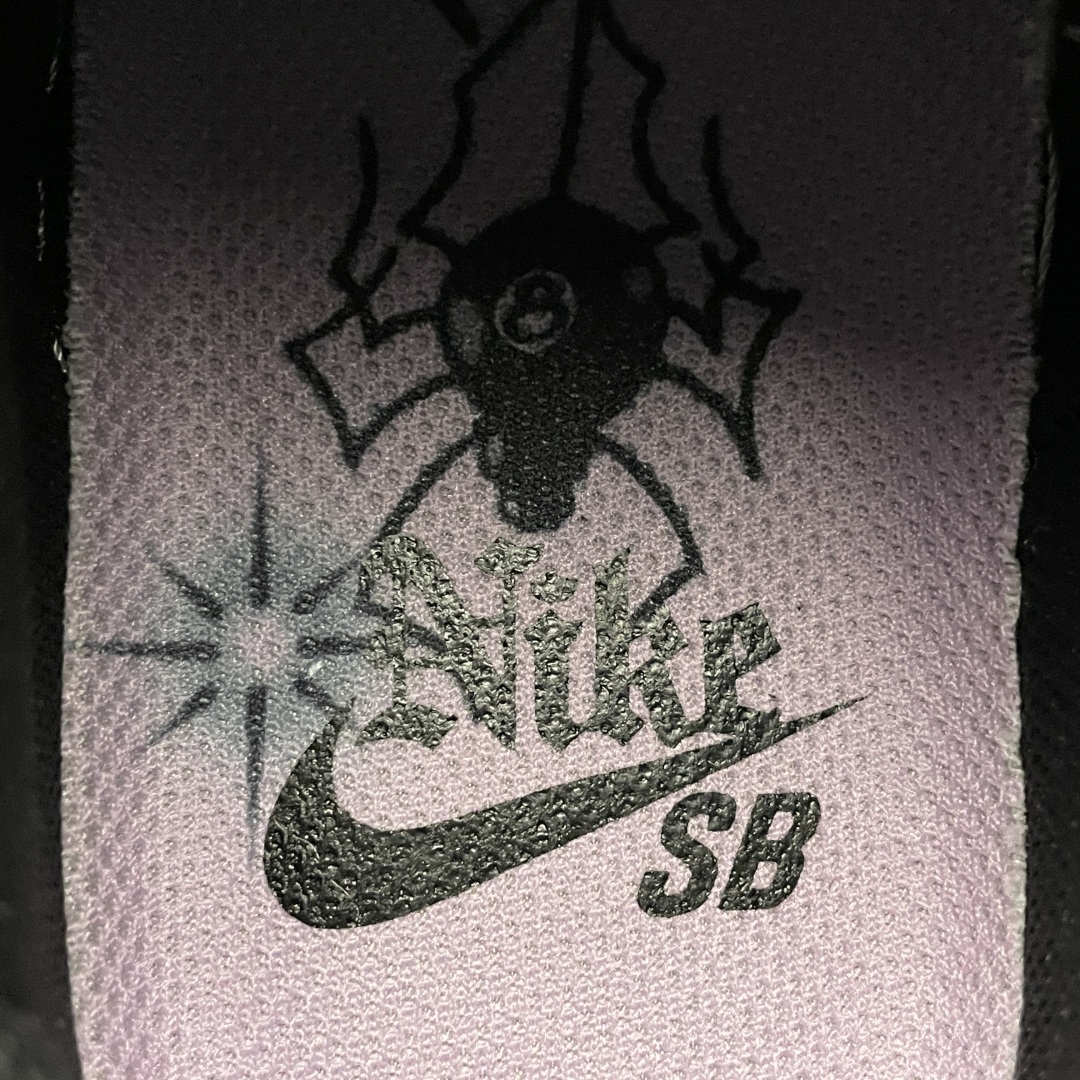 Hayley Wilson x NK Dunk SB Low 联名款低帮休闲板鞋 HJ0513-500 
