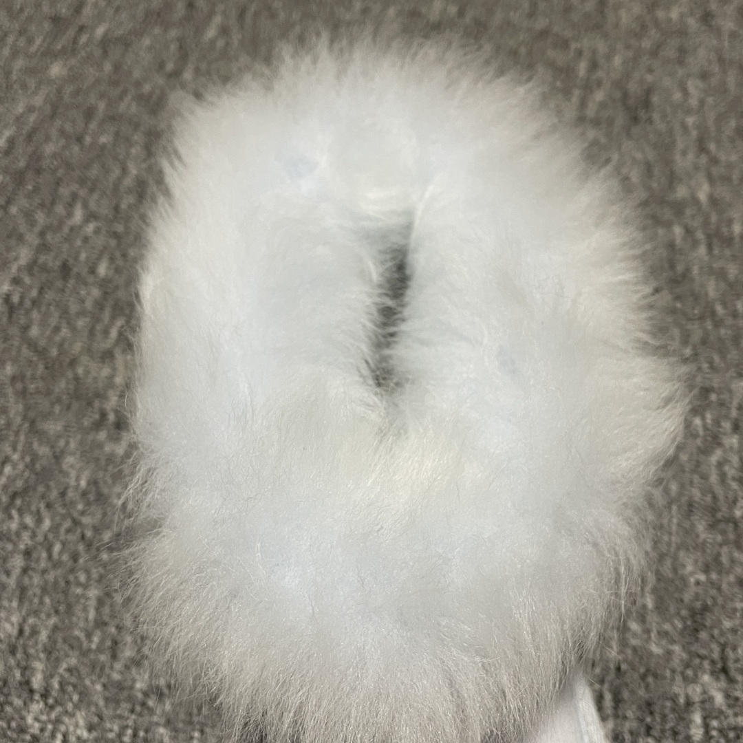 图片[9]-平台外贸专供 UGG 新款雪地靴 1173832 十年品牌制鞋代工厂生产线出品 注重每一处细节 隆丰A级真羊皮毛一体 完全遵循ZP工艺流程打造 尺码：35 36 37 38 39 40-选品中心