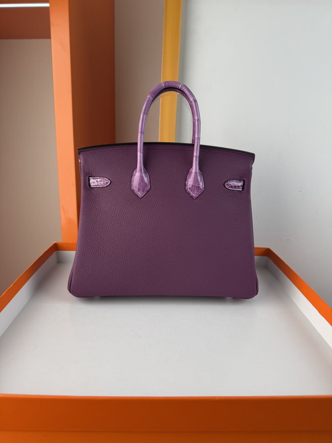 Hermès Birkin 25 Touch Togo Leather & Alligator Bag - Anemone Purple 2 cmp i1749882608037 1891 0 1