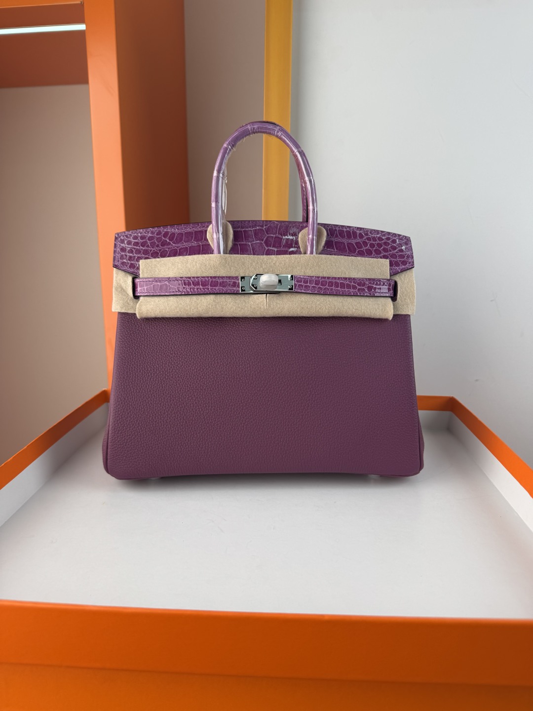 Hermès Birkin 25 Touch Togo Leather & Alligator Bag - Anemone Purple 1 cmp i1749882618587 3606 0 0
