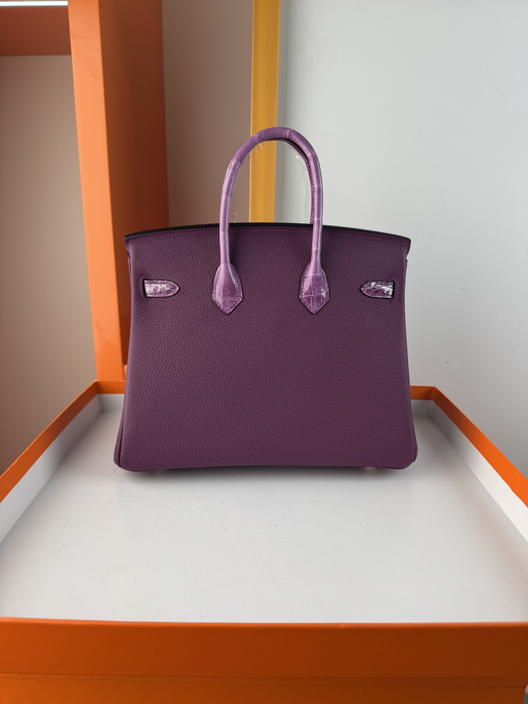 Birkin 25cm Touch Togo Leather & Crocodile Handbag - Anemone Gold Hardware 2 cmp i1749882869330 974 0 1