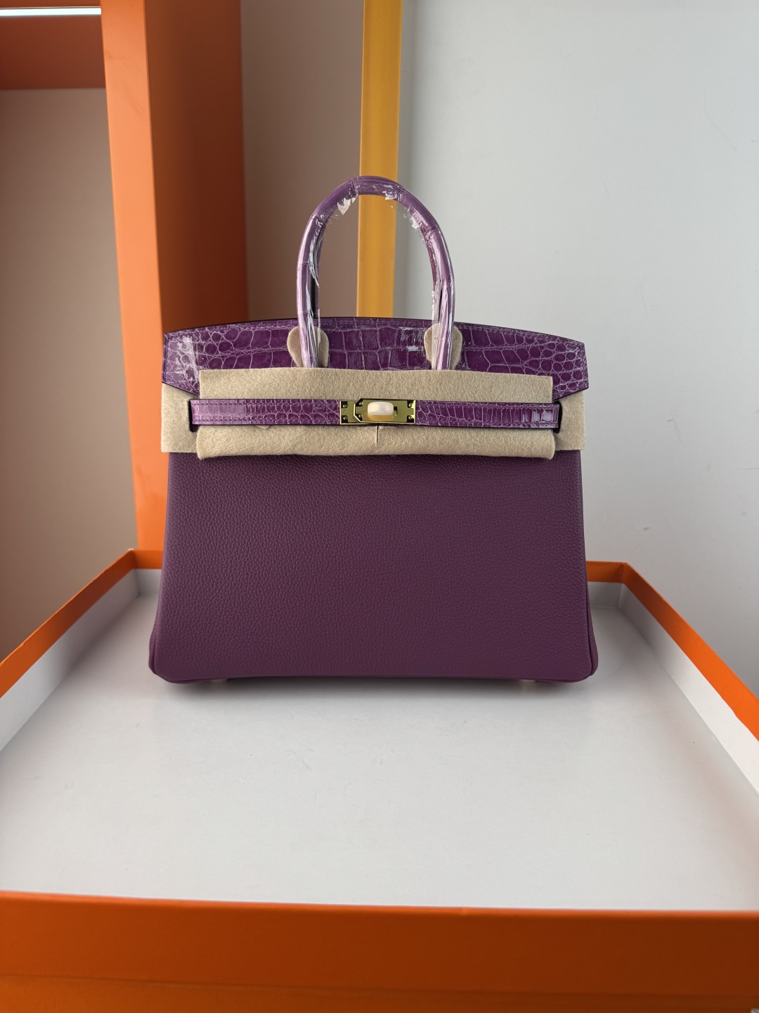 Birkin 25cm Touch Togo Leather & Crocodile Handbag - Anemone Gold Hardware 1 cmp i1749882881756 669 0 0