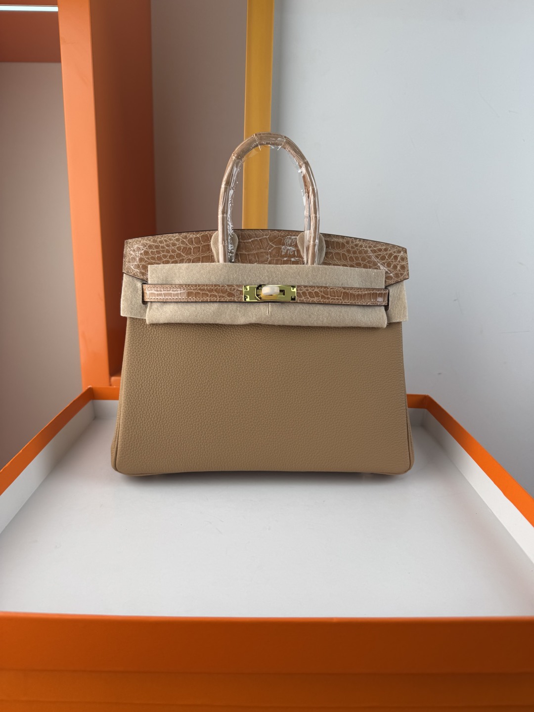 Birkin 25cm Touch Handbag in Togo Leather with Crocodile Leather Accent 2 cmp i1749883310965 7859 0 0