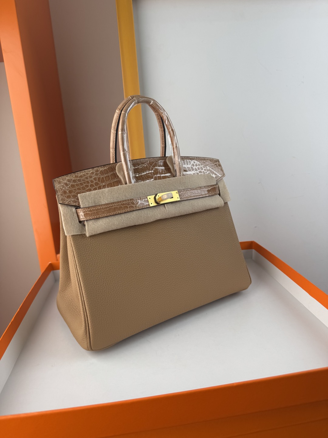Birkin 25cm Touch Handbag in Togo Leather with Crocodile Leather Accent 4 cmp i1749883315477 5437 0 2