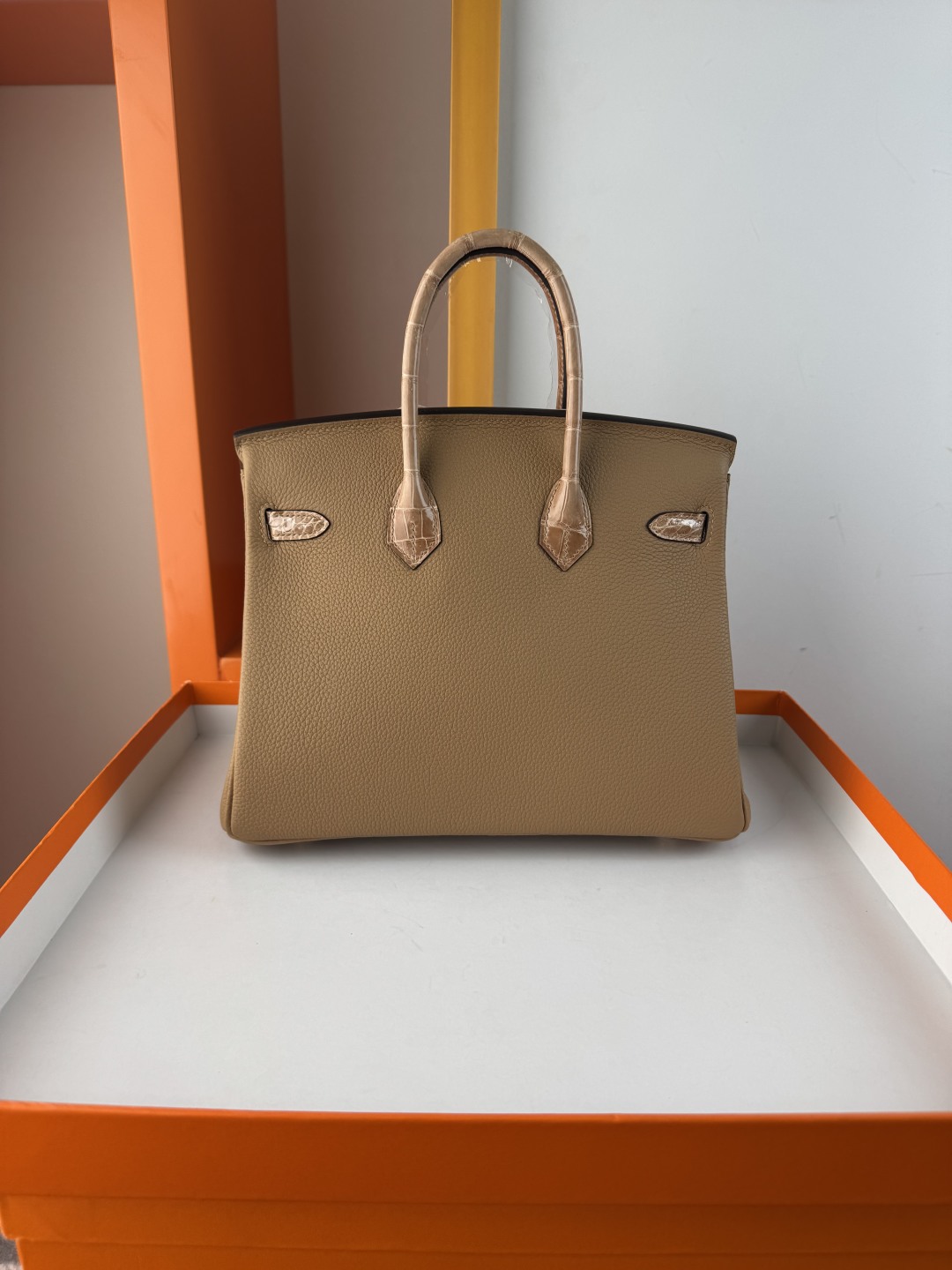Birkin 25cm Touch Handbag in Togo Leather with Crocodile Leather Accent 3 cmp i1749883405715 4154 0 1
