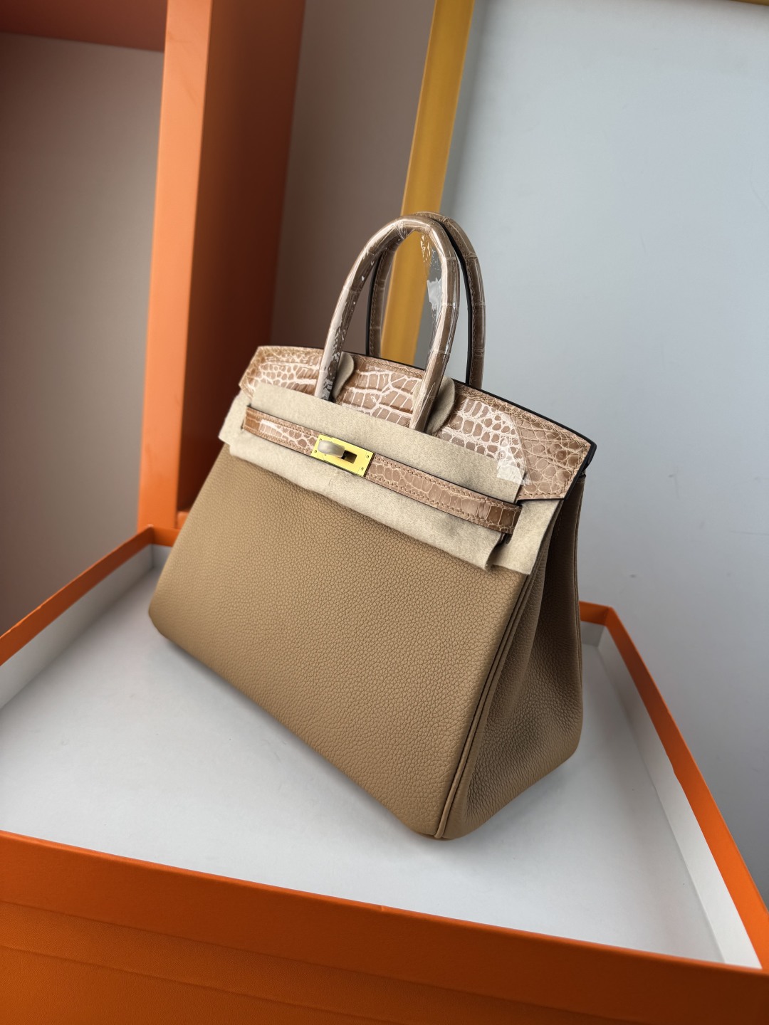 Birkin 25cm Touch Handbag in Togo Leather with Crocodile Leather Accent 5 cmp i1749883405894 4248 0 3