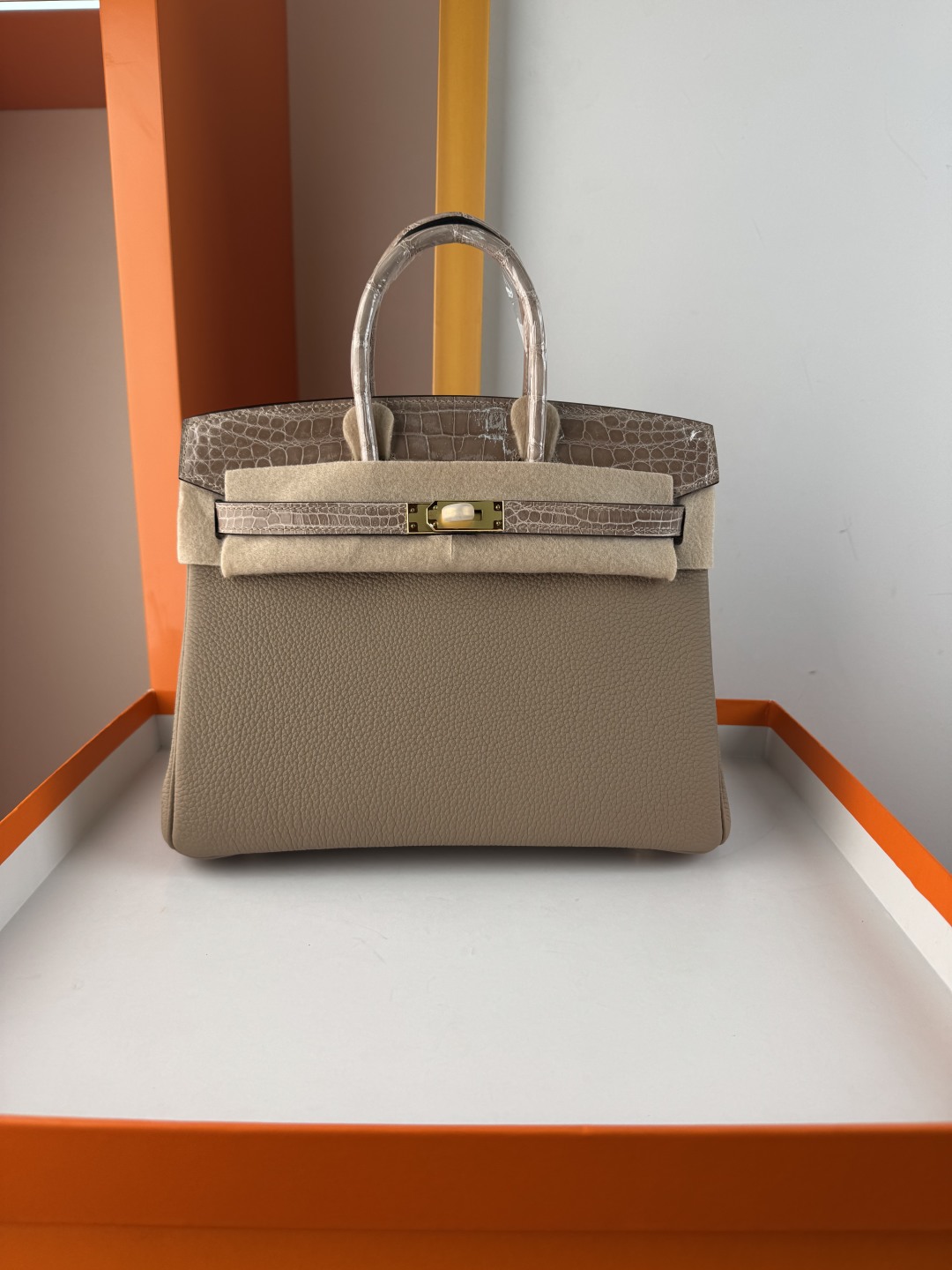 Chic Birkin 25cm Touch Bag: Togo Leather & Crocodile Trim, Gold Hardware 2 cmp i1749883617432 7543 0 0