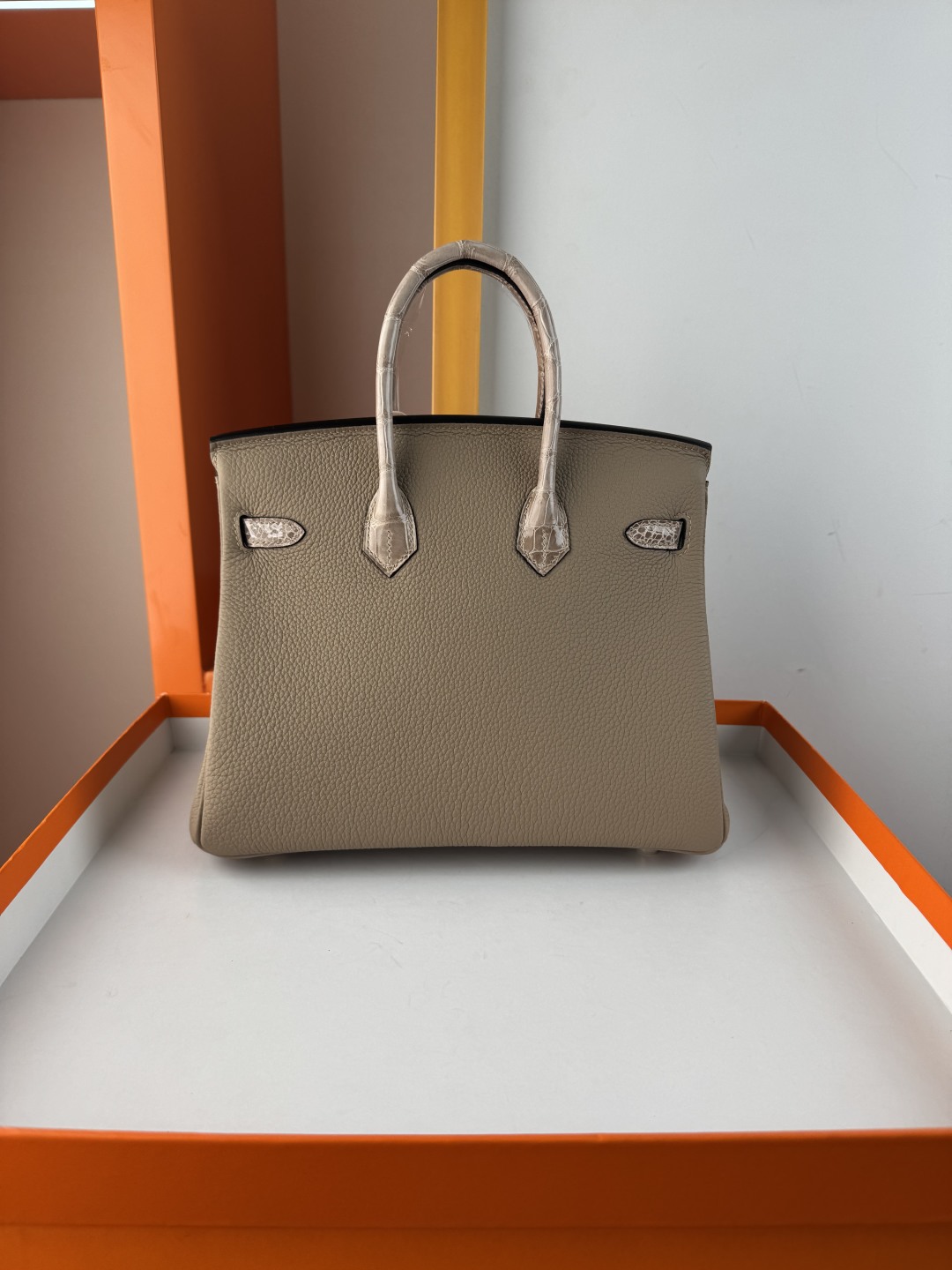 Chic Birkin 25cm Touch Bag: Togo Leather & Crocodile Trim, Gold Hardware 3 cmp i1749883617444 8921 0 1