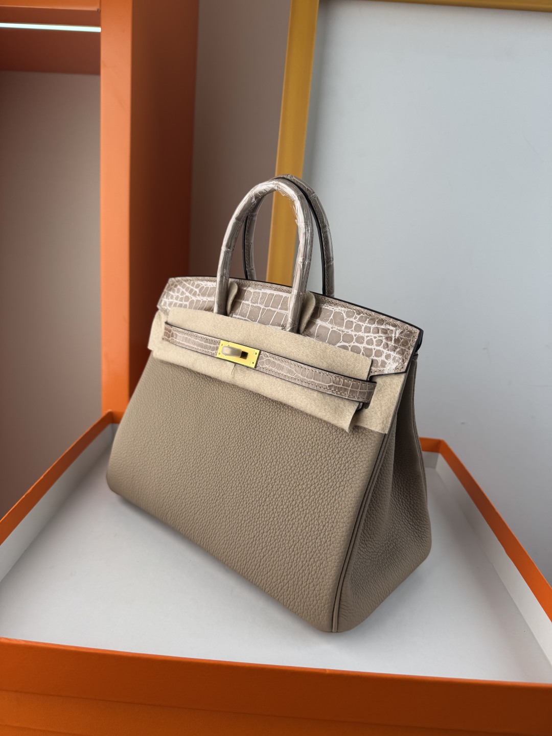 Chic Birkin 25cm Touch Bag: Togo Leather & Crocodile Trim, Gold Hardware 5 cmp i1749883623722 6306 0 3