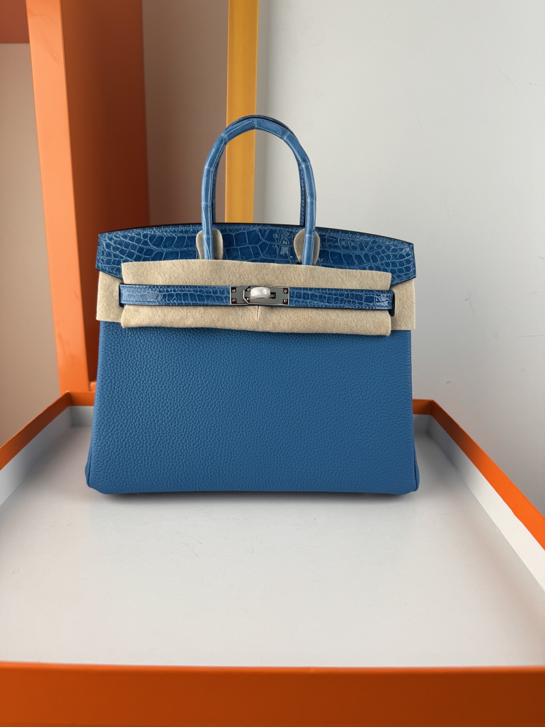 Birkin 25cm Touch Handbag, Togo Leather and Shiny Crocodile, Silver Hardware 2 cmp i1749898920101 6218 0 0