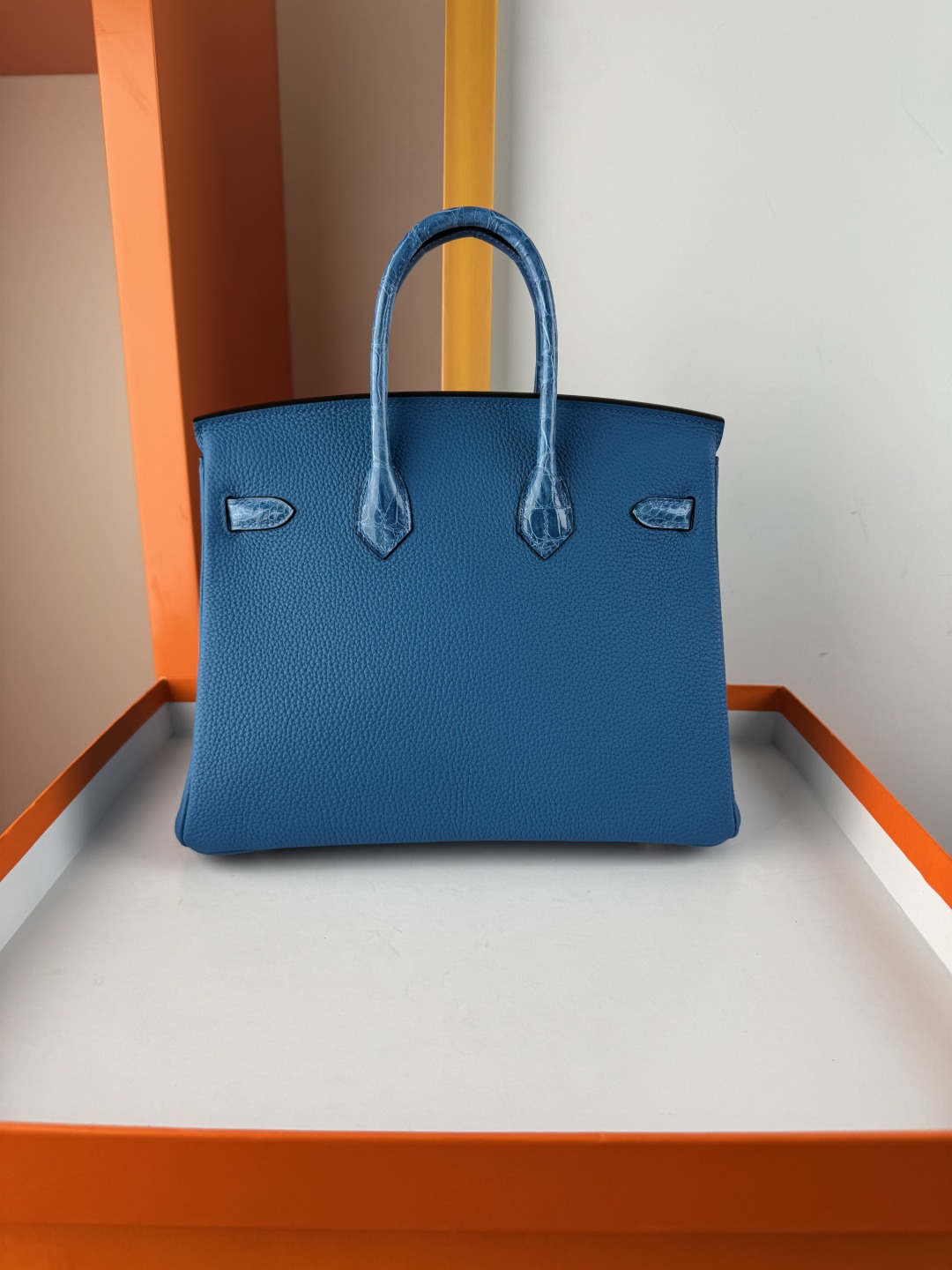 Birkin 25cm Touch Handbag, Togo Leather and Shiny Crocodile, Silver Hardware 3 cmp i1749898920236 2135 0 1