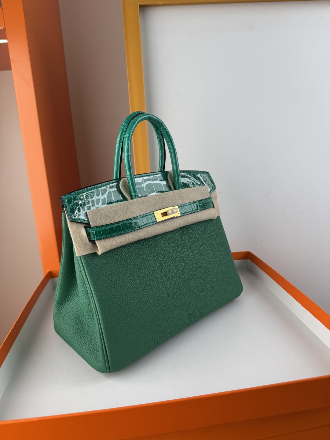 Birkin 25cm Touch Emerald Green Togo and Shiny Alligator Leather Gold Hardware 4 cmp i1749899084722 2734 0 2