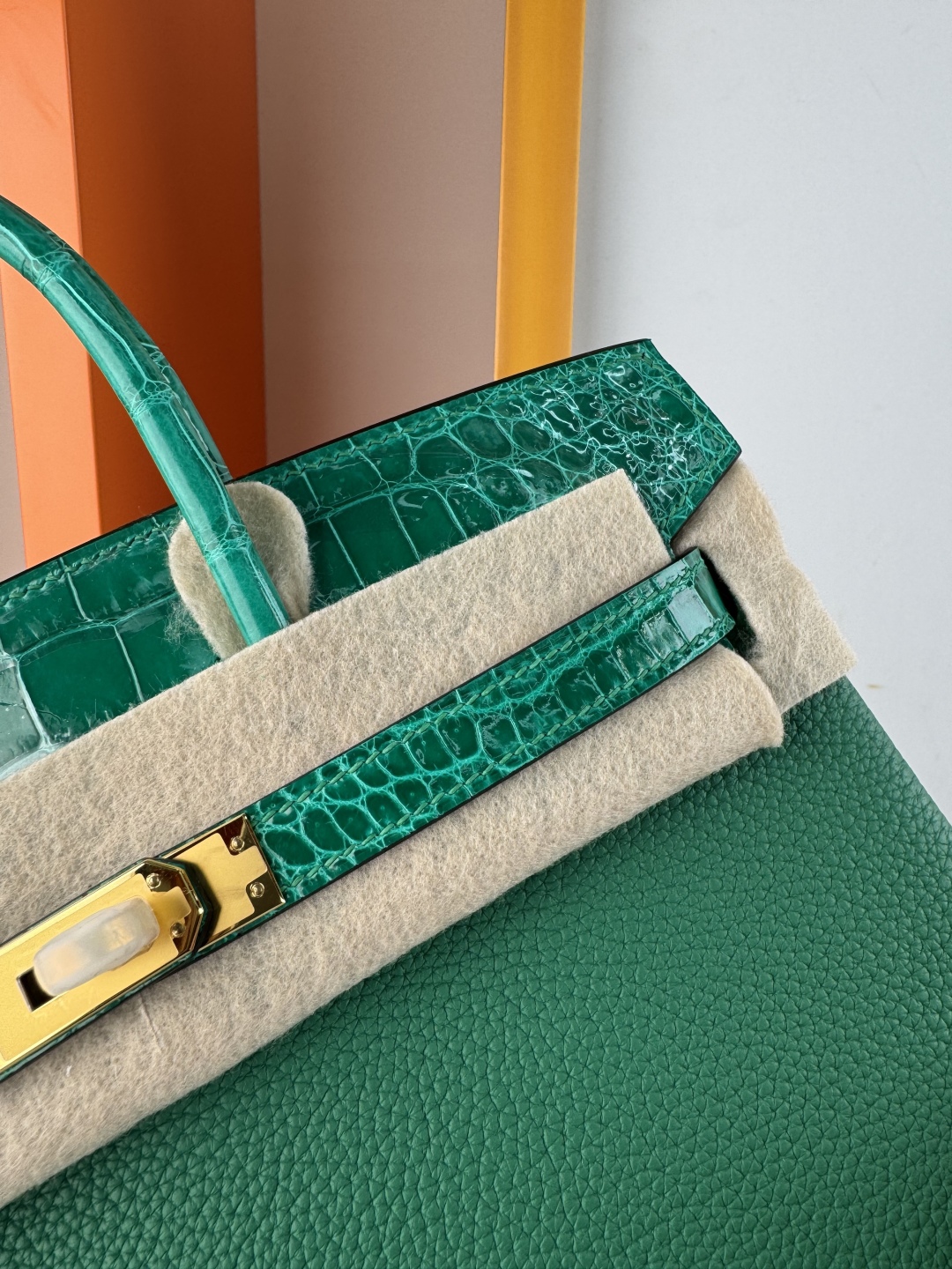 Birkin 25cm Touch Emerald Green Togo and Shiny Alligator Leather Gold Hardware 8 cmp i1749899089589 8471 0 6