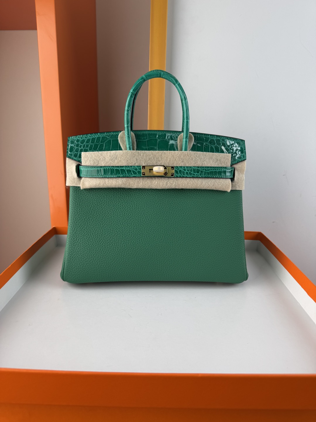 Birkin 25cm Touch Emerald Green Togo and Shiny Alligator Leather Gold Hardware 2 cmp i1749899090103 7332 0 0