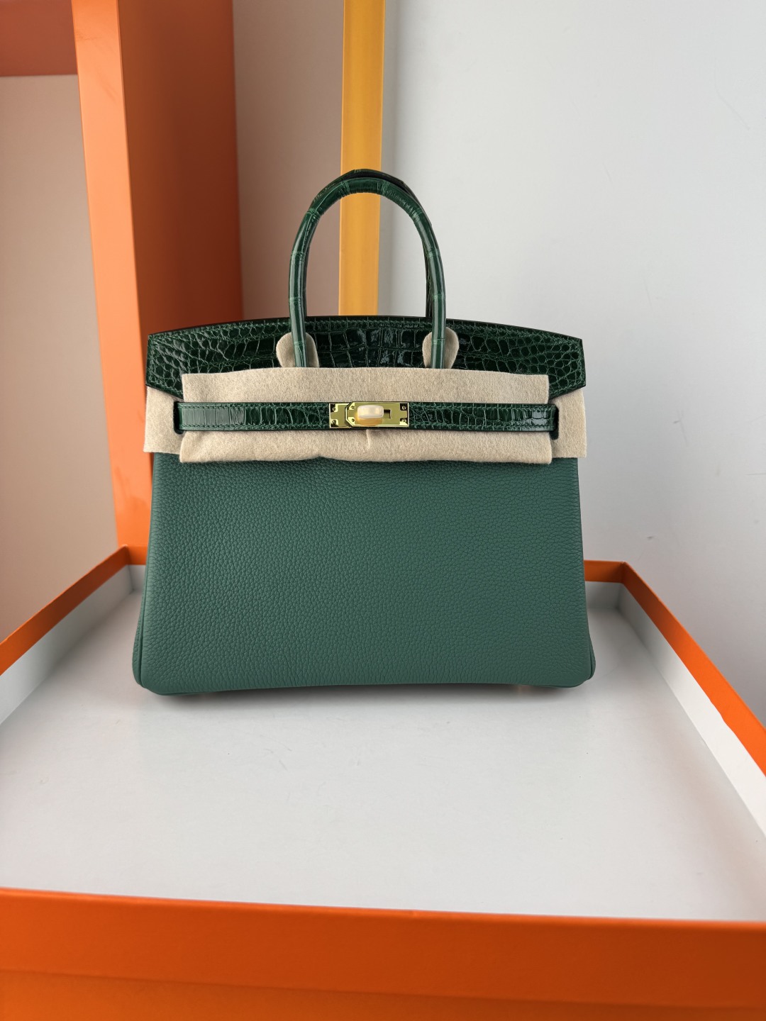 Exquisite Birkin 25cm Emerald Green Togo Leather & Alligator Gold Hardware 1 cmp i1749965771499 1597 0 0