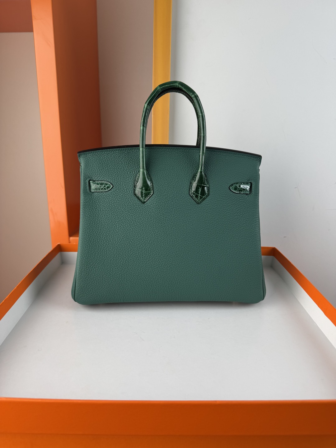 Exquisite Birkin 25cm Emerald Green Togo Leather & Alligator Gold Hardware 2 cmp i1749965771505 4899 0 1