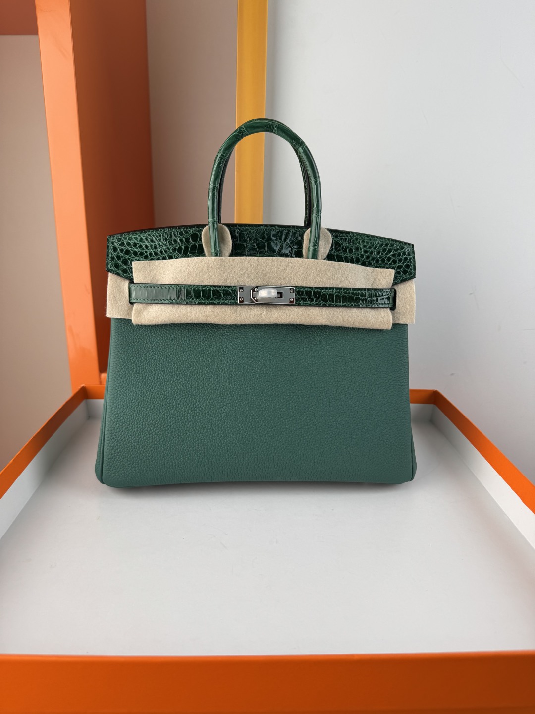 Emerald Green Birkin 25cm Togo Leather and Crocodile Skin Handbag 1 cmp i1749966026688 3192 0 0