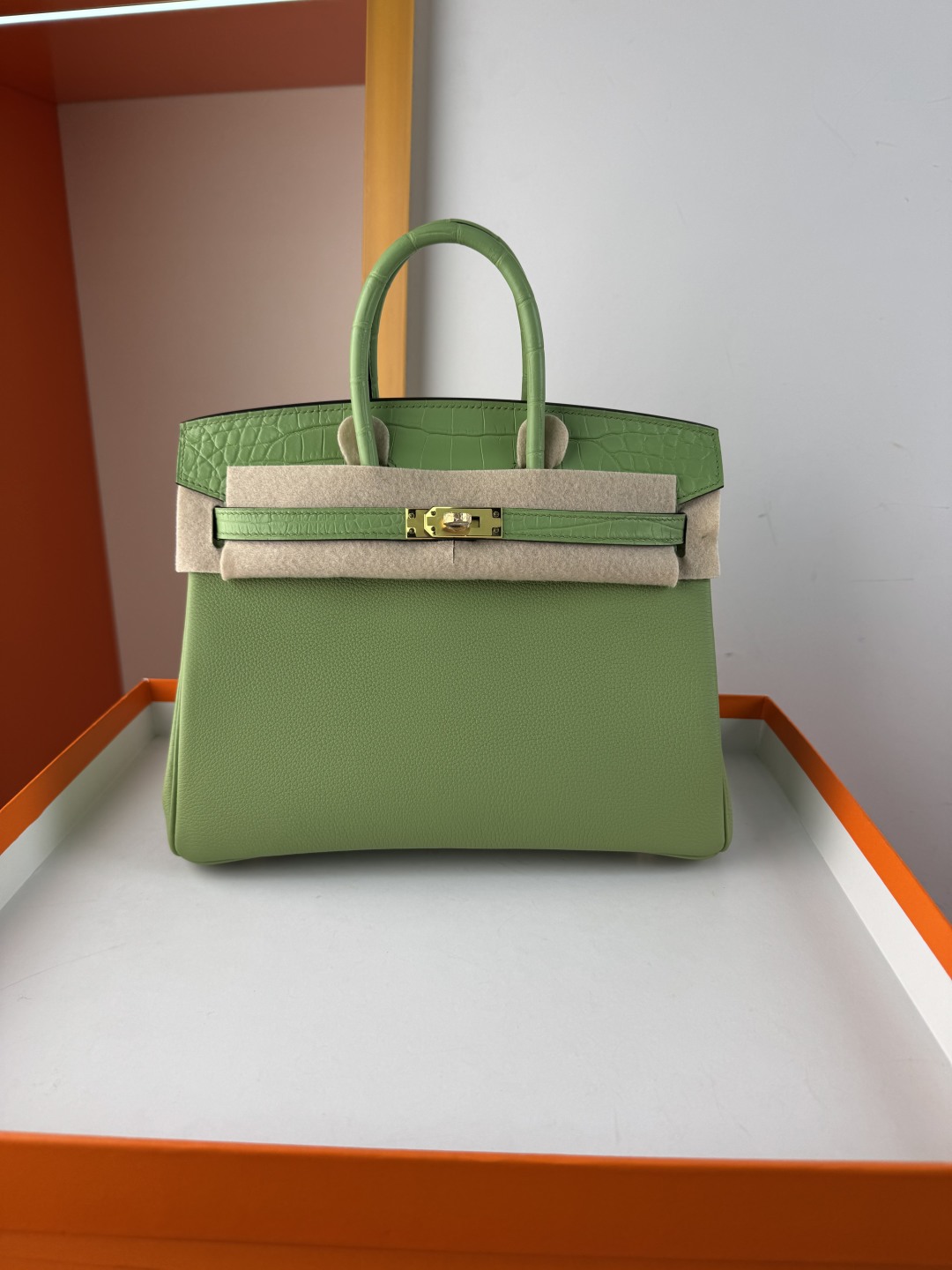 Birkin 25cm Avocado Green Togo Leather and Matte Alligator Gold Hardware 1 cmp i1750142503662 1727 0 0