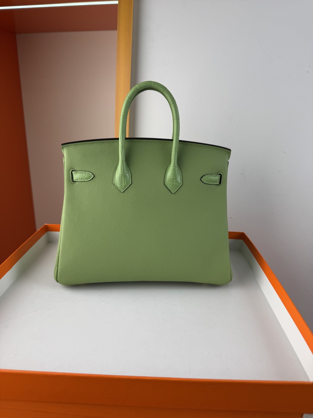 Birkin 25cm Avocado Green Togo Leather and Matte Alligator Gold Hardware 2 cmp i1750142525192 2723 0 1
