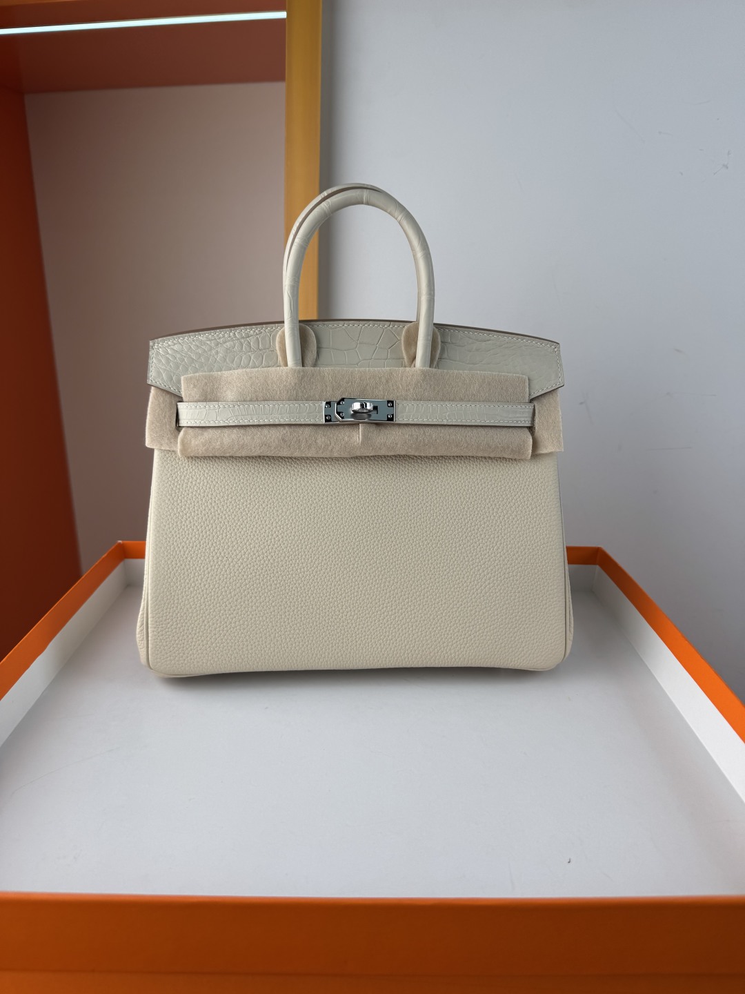 Hermès Birkin 25cm Touch Milkshake White Togo Leather & Matte Alligator Bag 2 cmp i1750143868307 7820 0 0