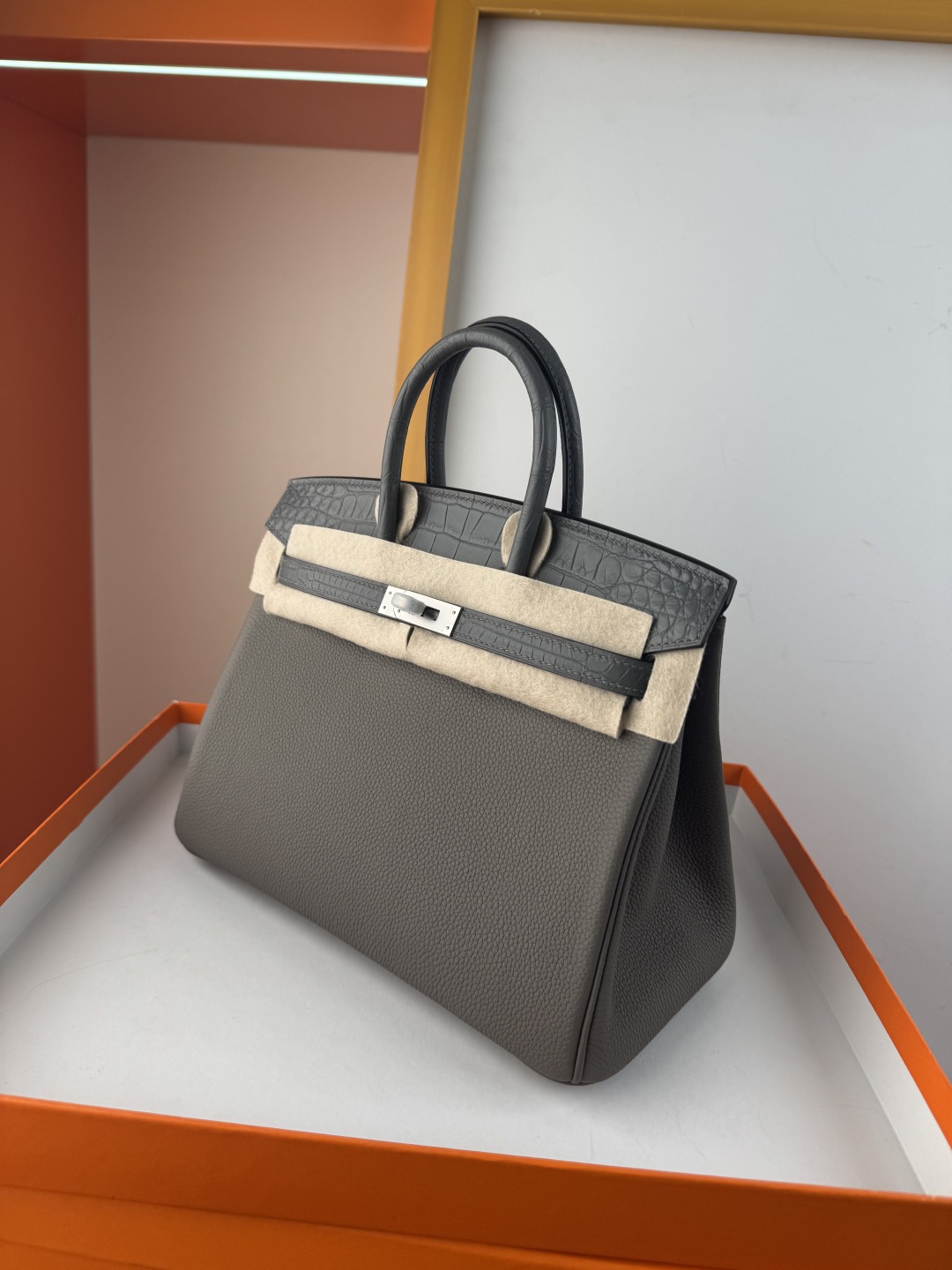 Hermès Birkin 25 Touch Bag Togo Leather and Matte Alligator - Cloud Grey 5 cmp i1750153487988 400 0 3