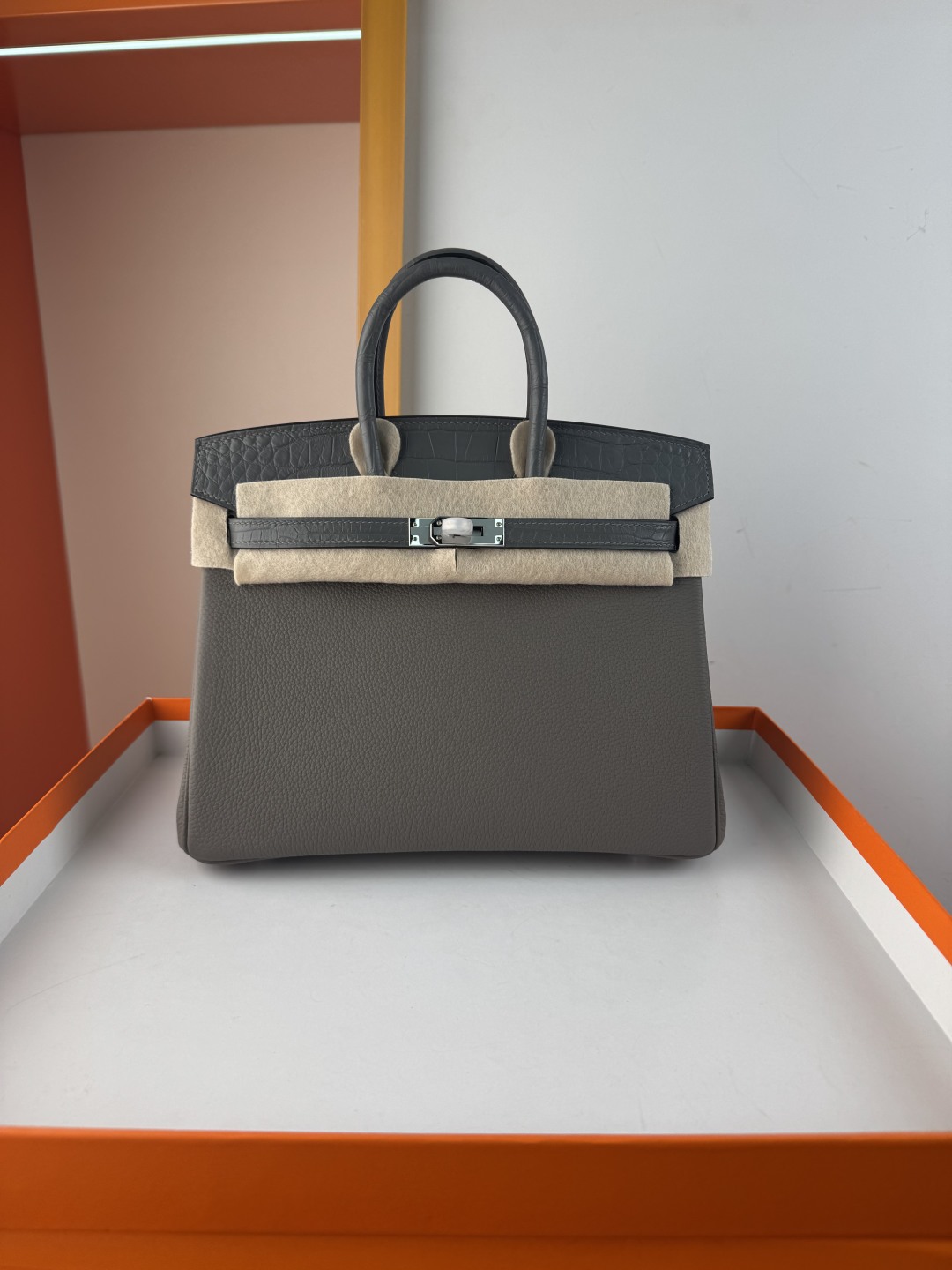 Hermès Birkin 25 Touch Bag Togo Leather and Matte Alligator - Cloud Grey 2 cmp i1750153492678 2709 0 0