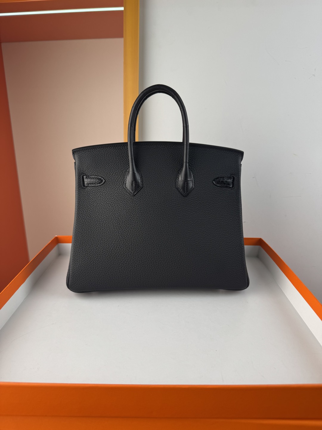 Birkin 25cm Black Togo Leather and Matte Alligator Handbag with Silver Hardware 2 cmp i1750155033682 7760 0 1