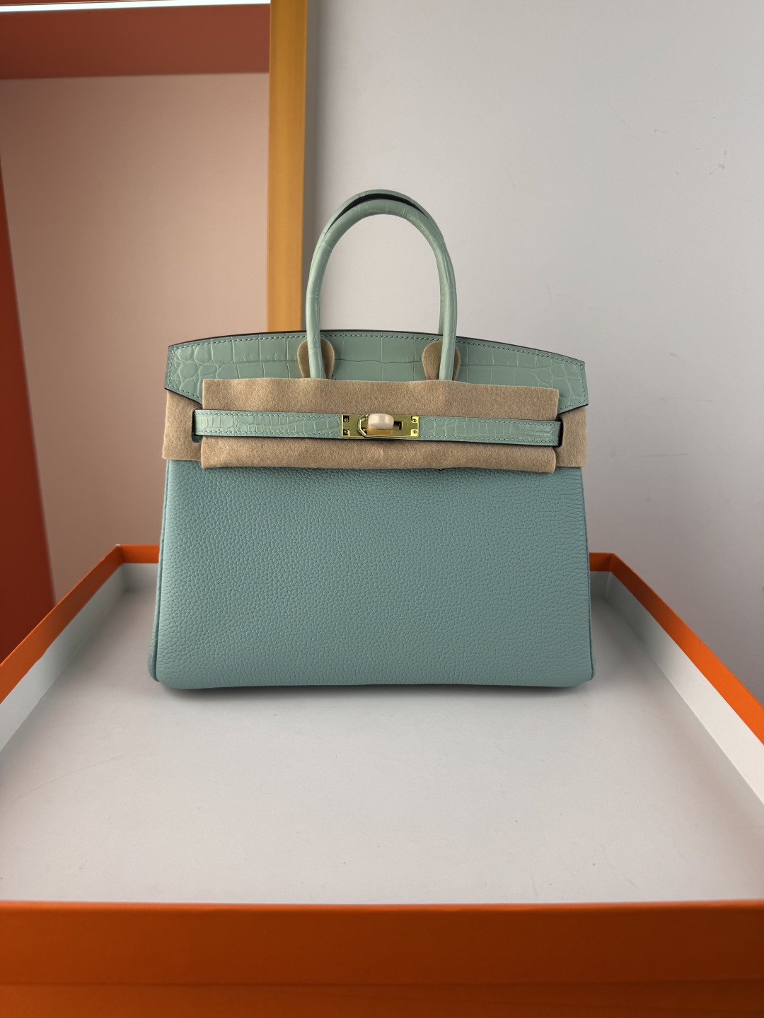 Birkin 25cm Touch Mint Green Togo Leather and Crocodile Gold Hardware Bag 1 cmp i1750155844926 4521 0 0