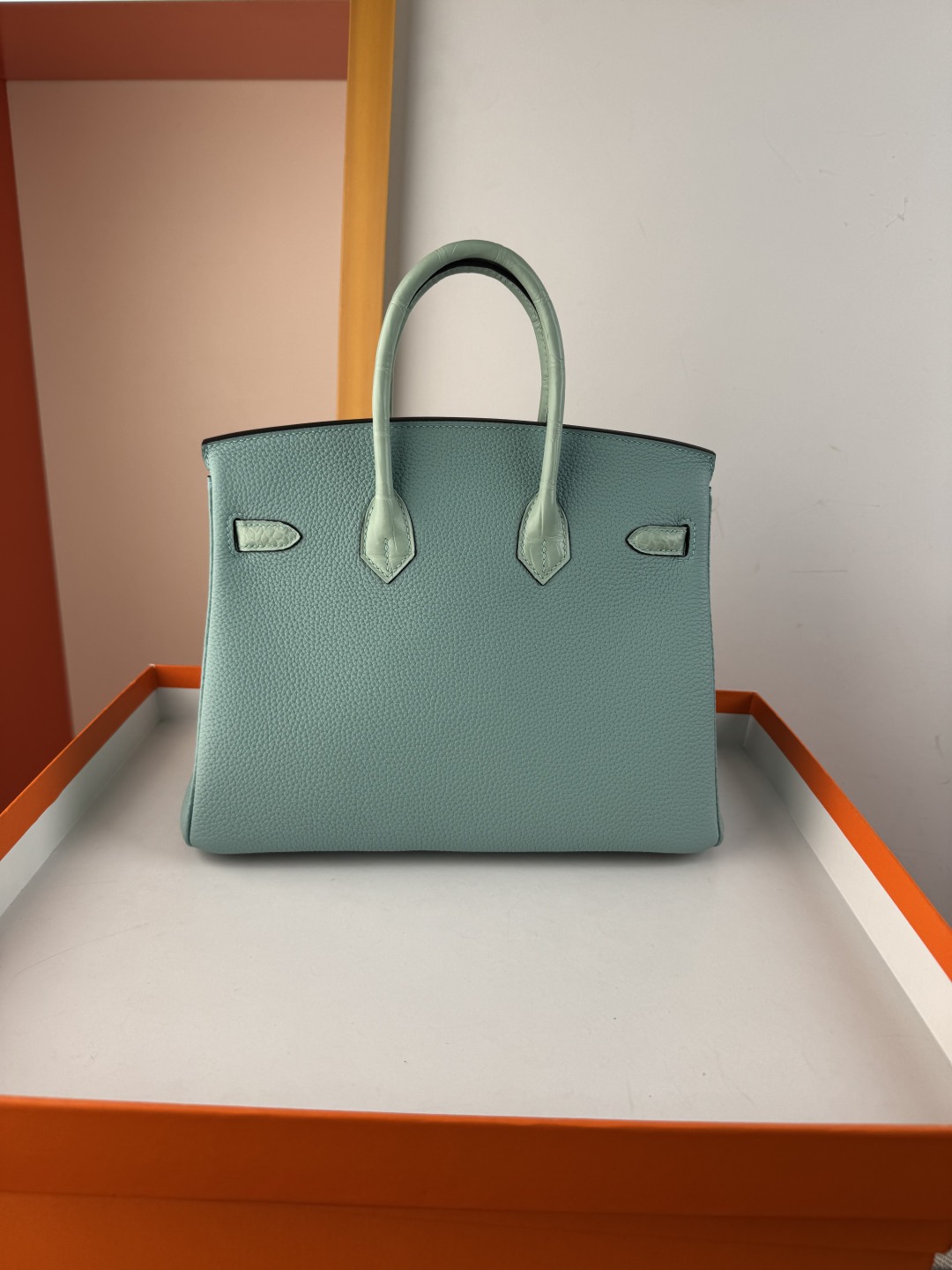 Birkin 25cm Touch Mint Green Togo Leather and Crocodile Gold Hardware Bag 2 cmp i1750155865589 8923 0 1
