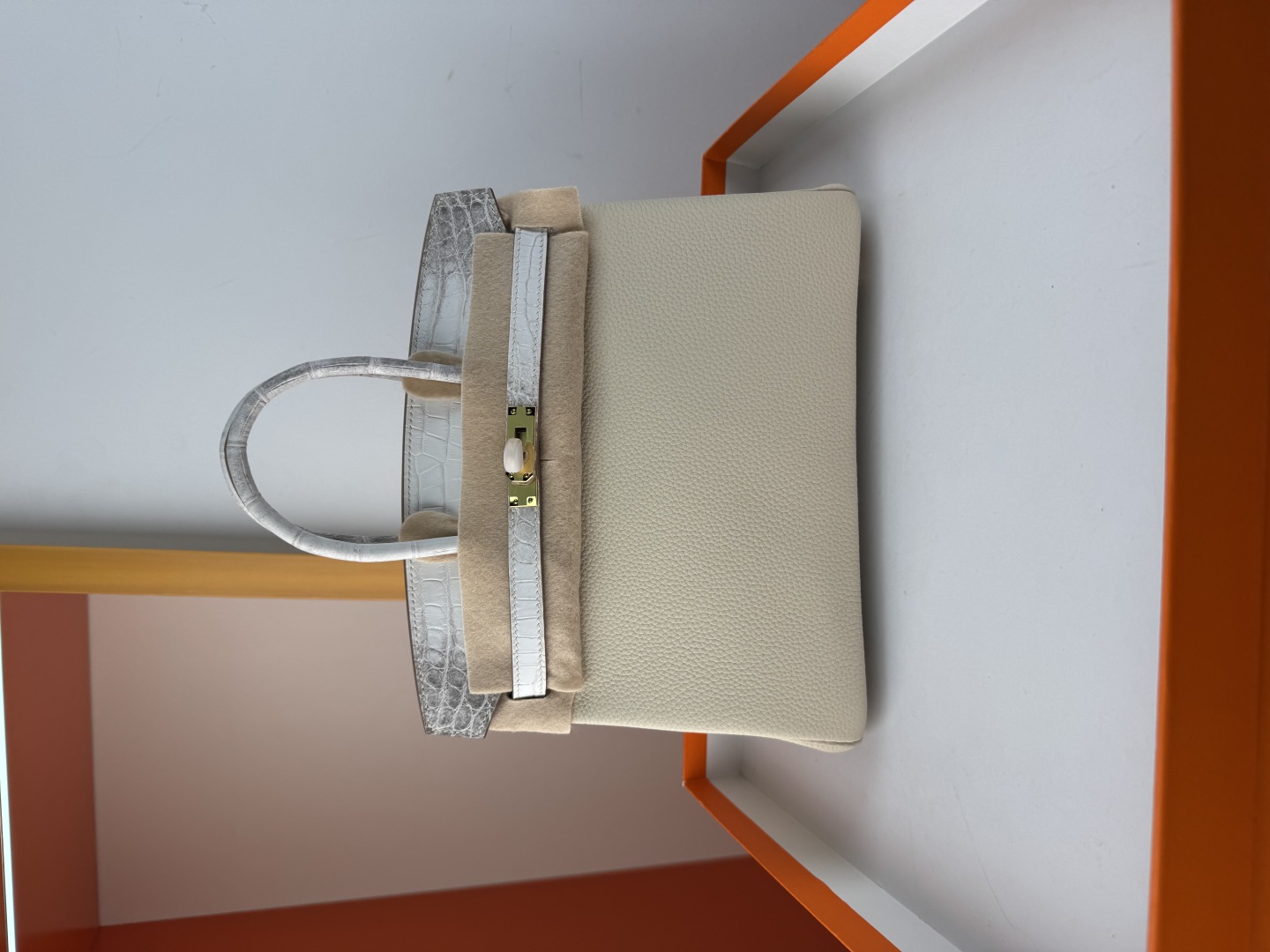 Hermes Birkin 25cm Touch Himalaya Togo Leather Bag with Gold Hardware 2 cmp i1750156298013 904 0 0