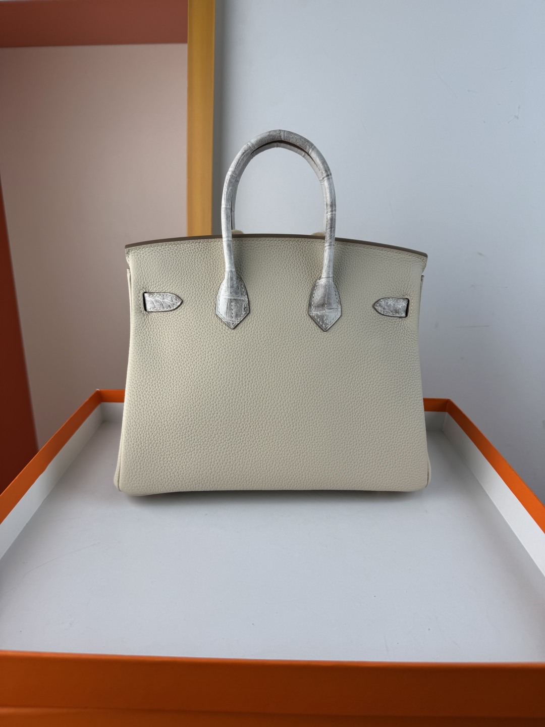 Hermes Birkin 25cm Touch Himalaya Togo Leather Bag with Gold Hardware 3 cmp i1750156341926 9922 0 1