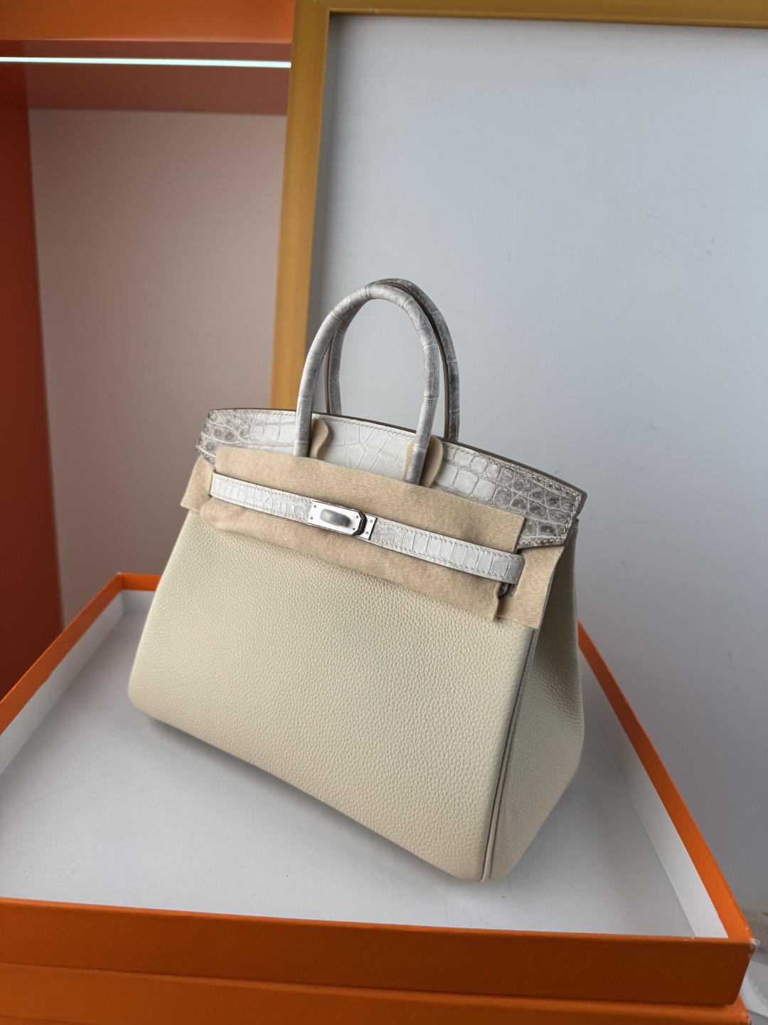 Hermès Birkin 25cm Himalaya Togo Leather with Crocodile Trim Silver Hardware 5 cmp i1750157837633 5790 0 3