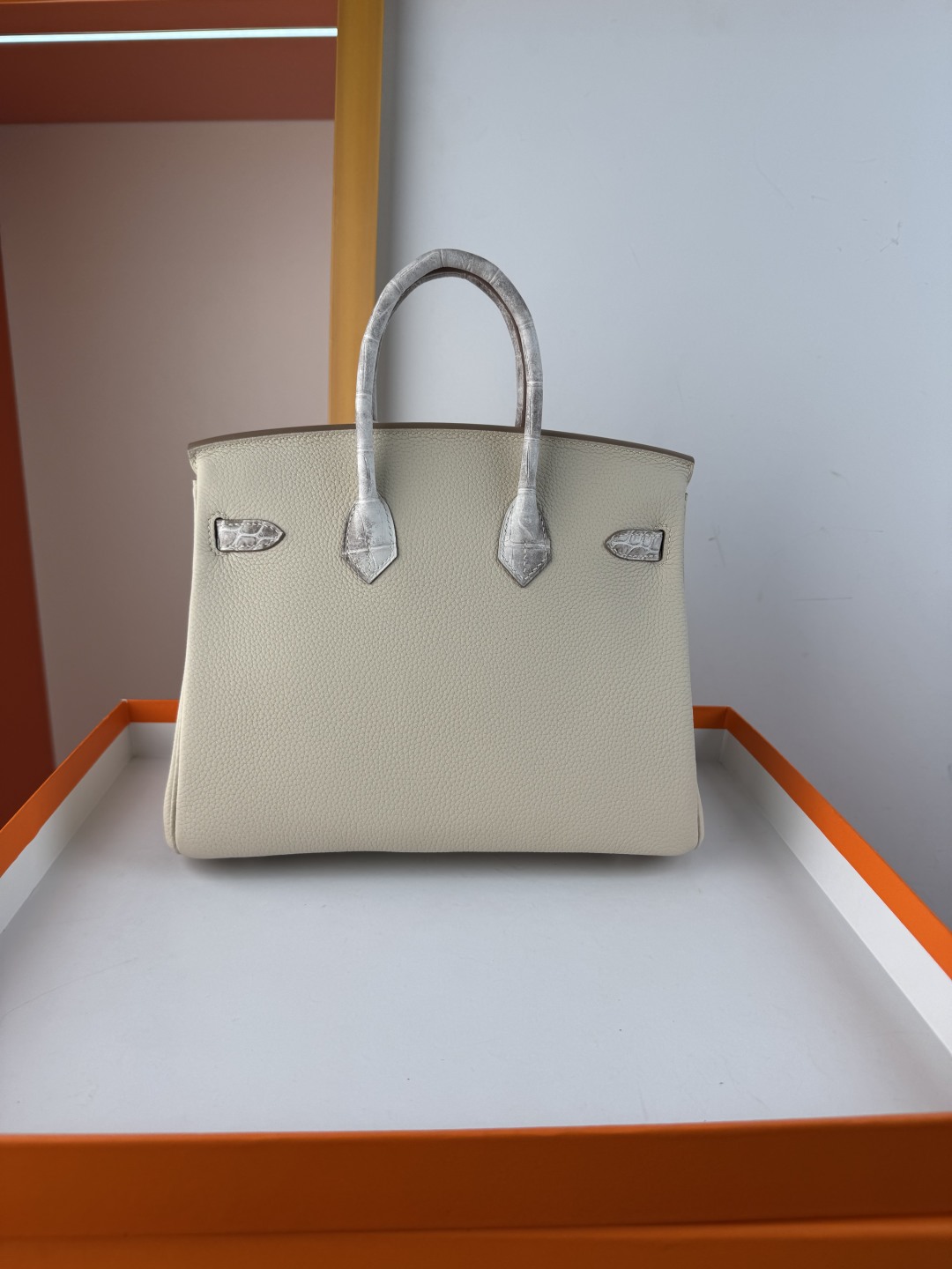 Hermès Birkin 25cm Himalaya Togo Leather with Crocodile Trim Silver Hardware 3 cmp i1750157837846 464 0 1
