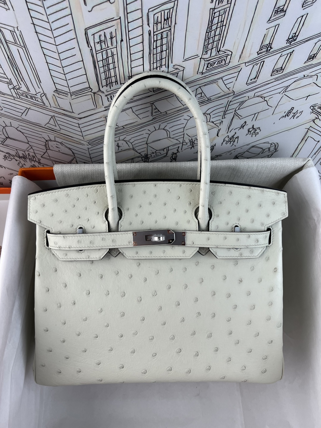 NO:852576,Spot color BK30 South African KK ostrich skin platinum 30cm, fully hand-stitched with wax thread lining, original goatskin, all-steel hardware, Hermes, hermes, sheepskin, ostrich skin, Hermes,19860909现货色BK30 南非KK鸵鸟皮铂金30cm  全手缝蜡线内里原版山羊皮,全钢五金,爱马仕,hermes,sheepskin,ostrich skin,Hermes,,Bag