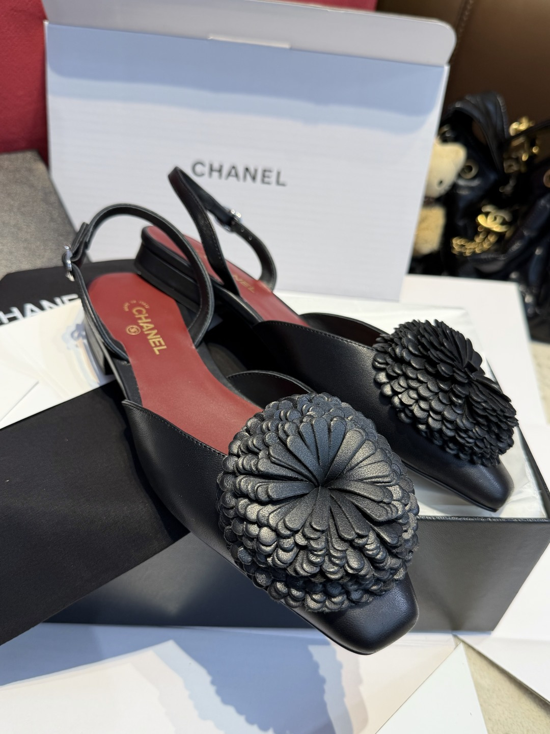 Chanel Mary Jane Shoes