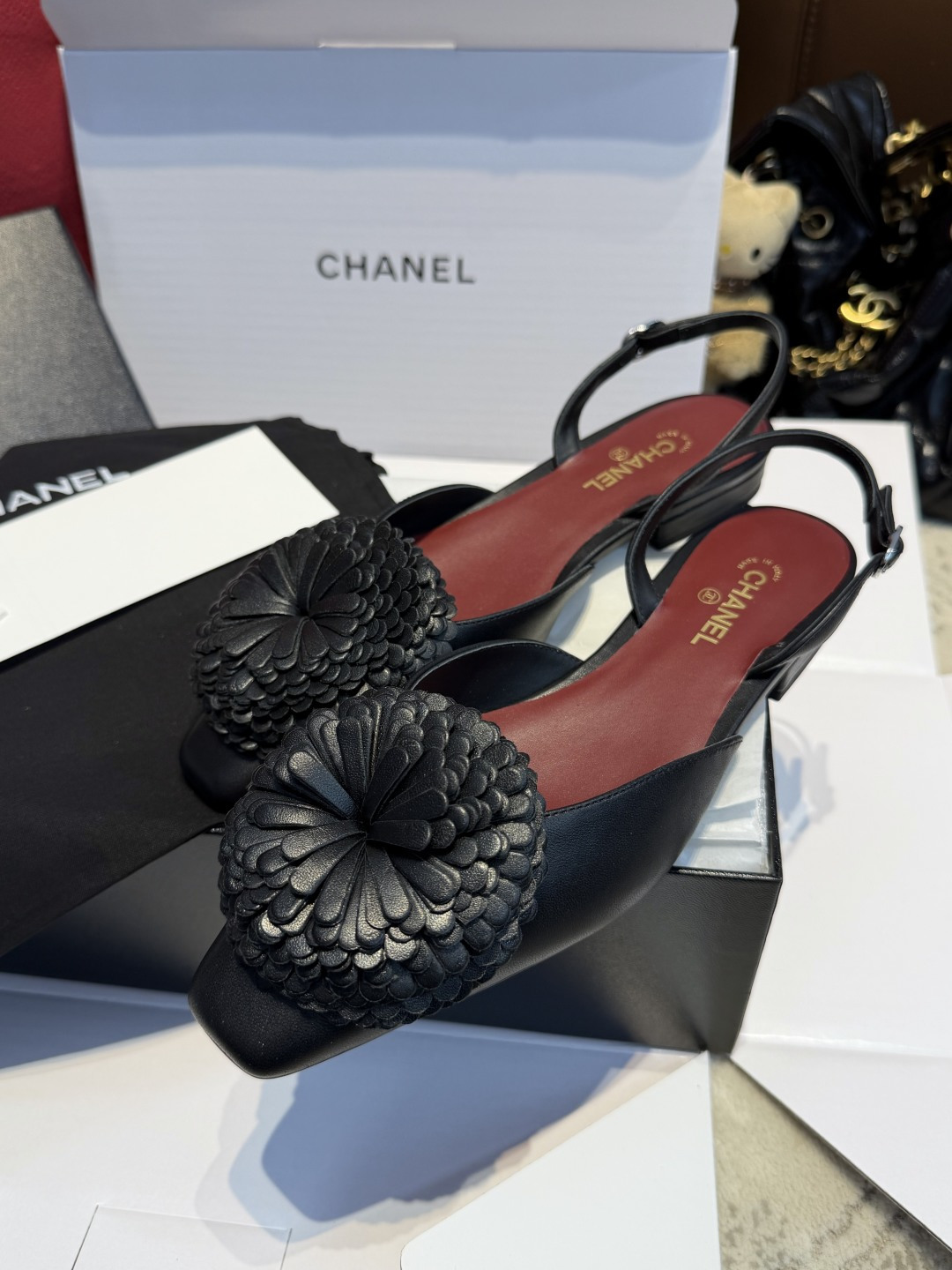 Chanel Mary Jane Shoes