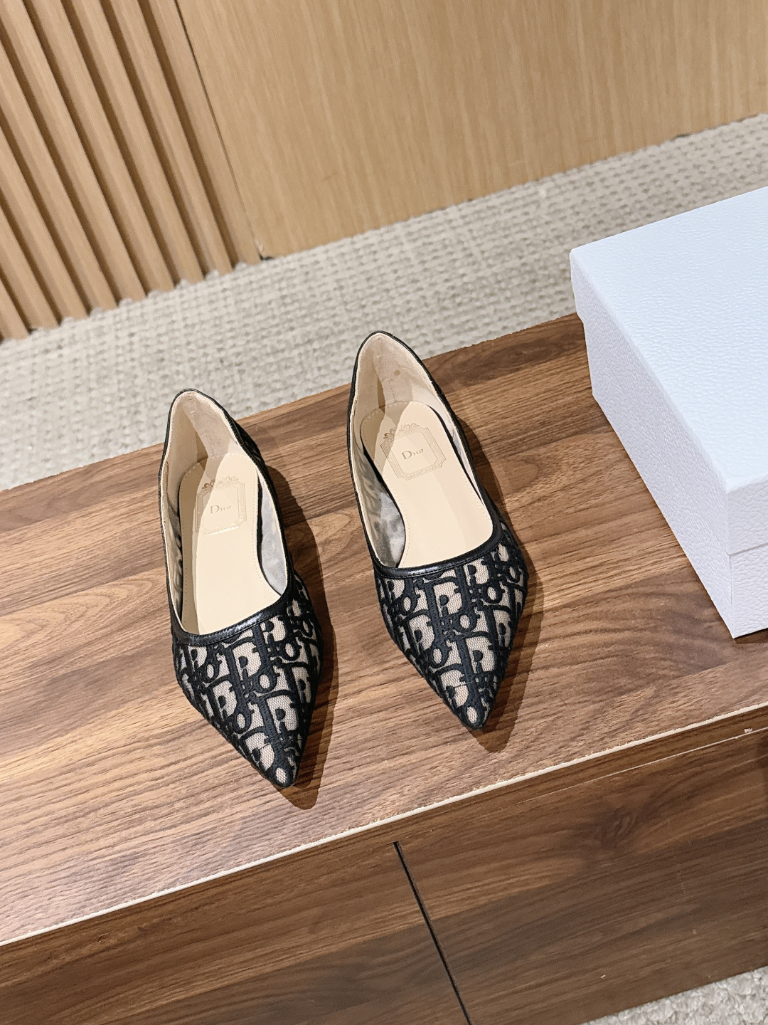 Dior Mesh Oblique Pointed Flats