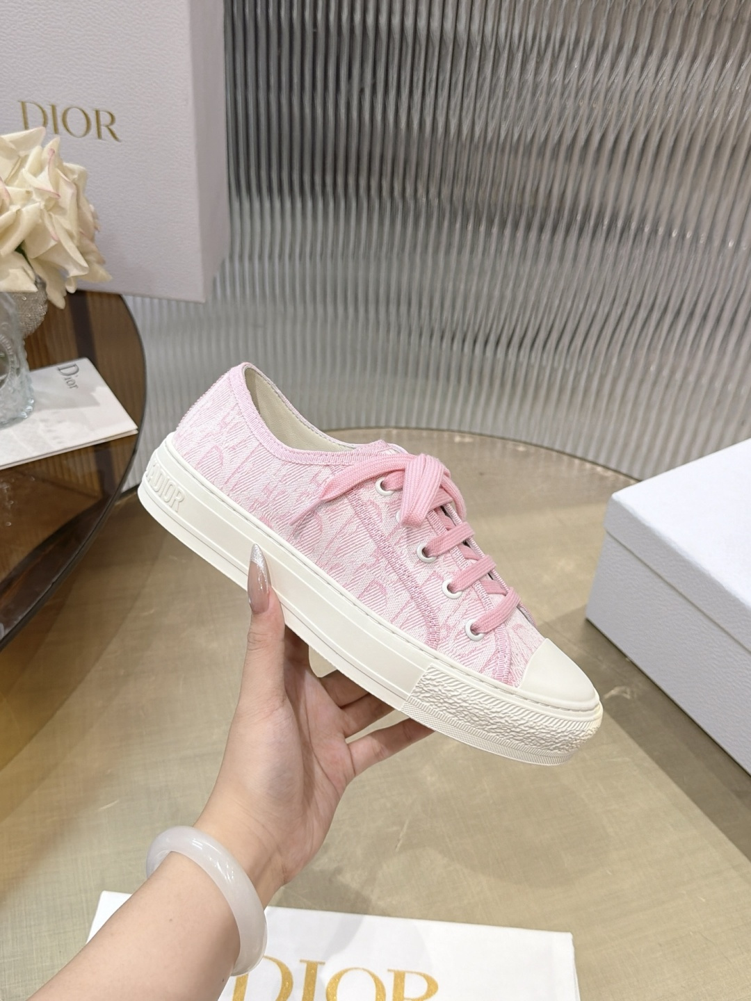 Dior Oblique Canvas Shoes