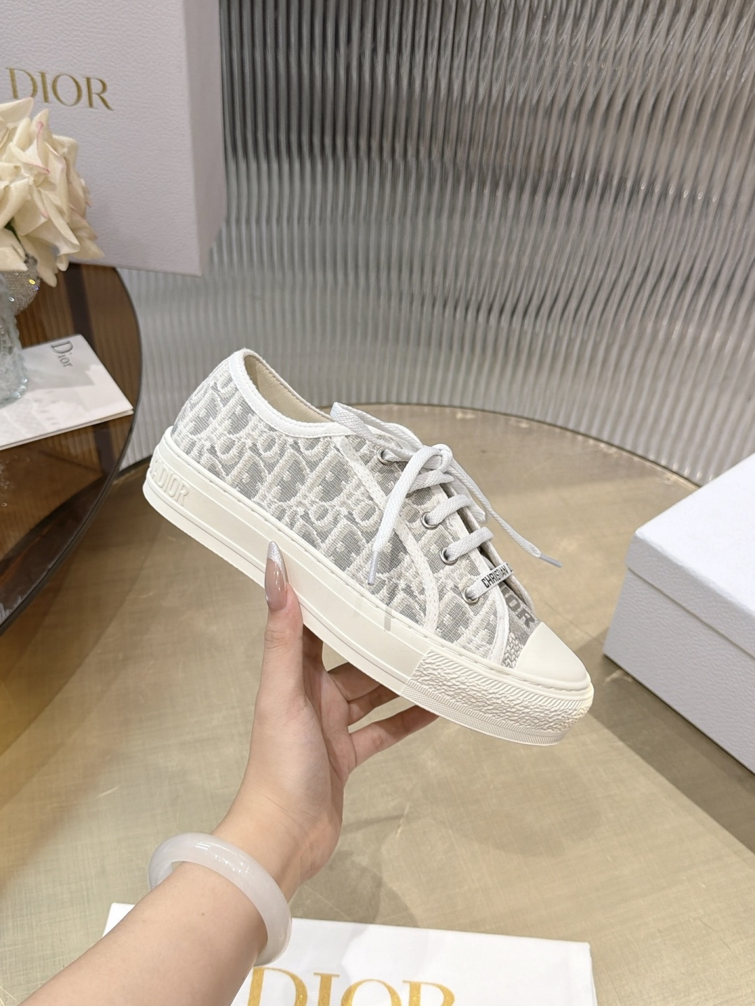 Dior Oblique Canvas Shoes