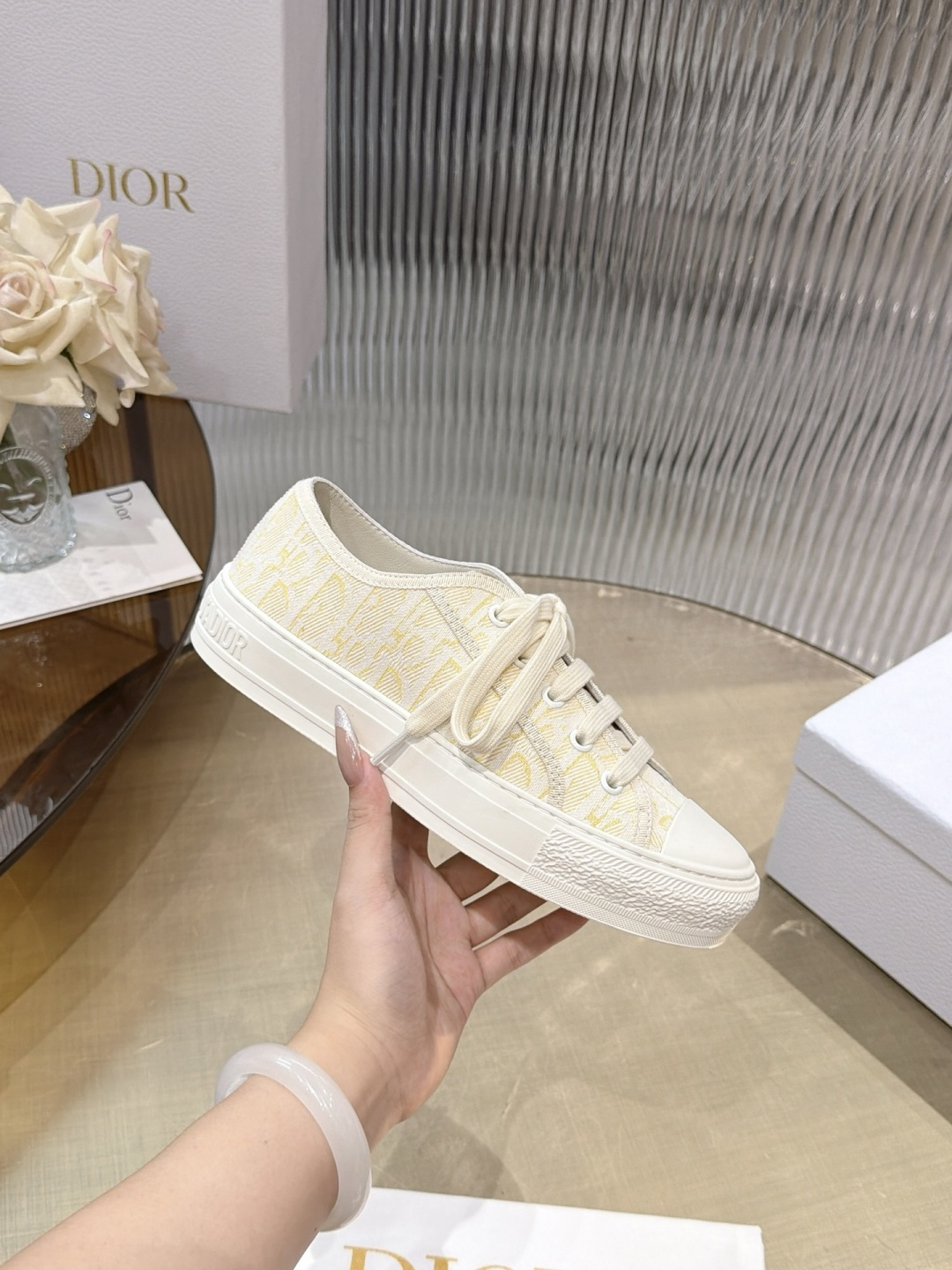 Dior Oblique Canvas Shoes