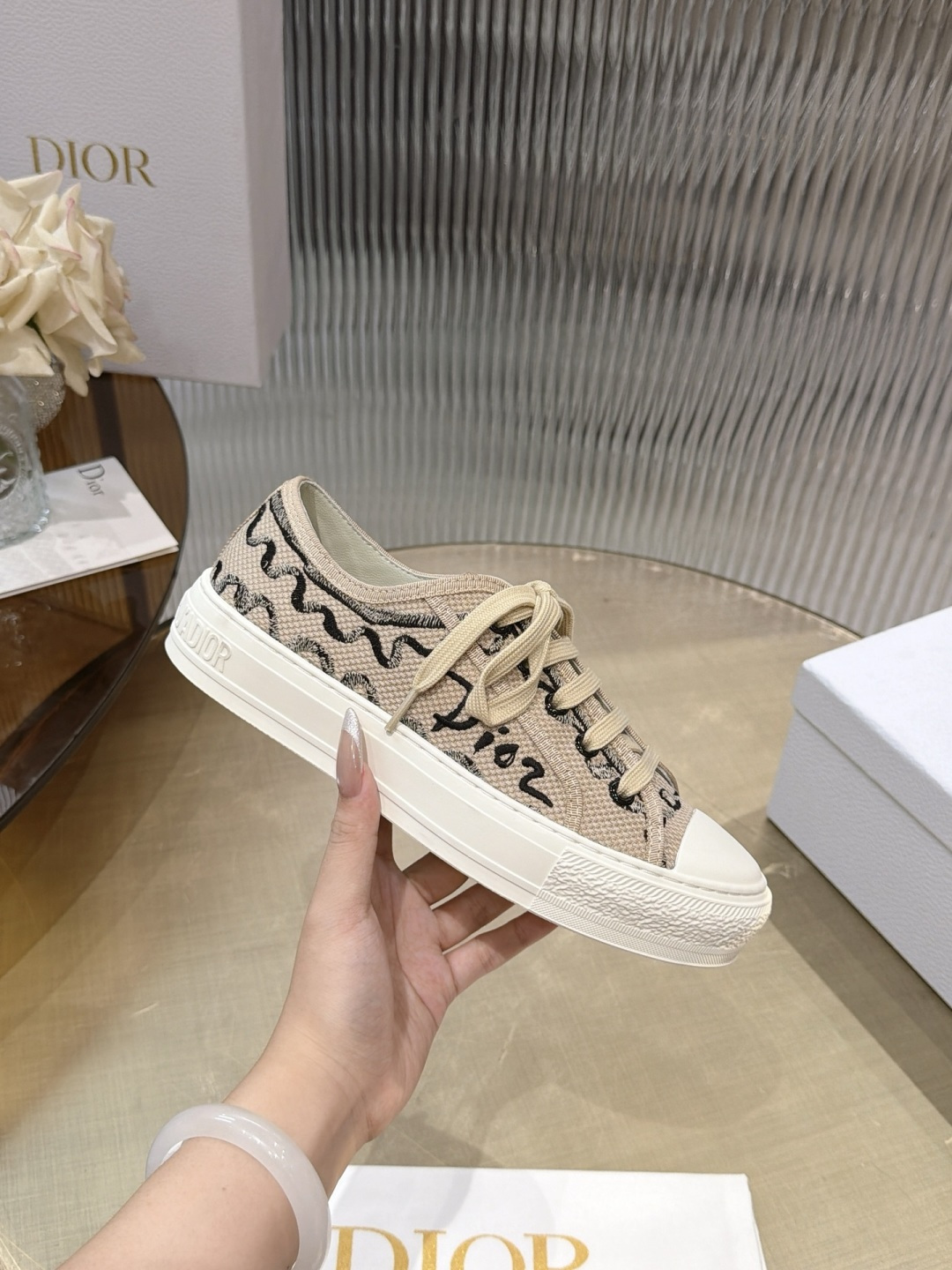 Dior Oblique Canvas Shoes