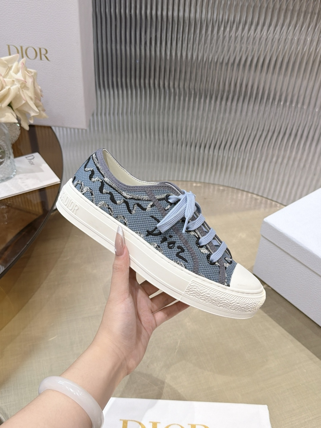 Dior Oblique Canvas Shoes