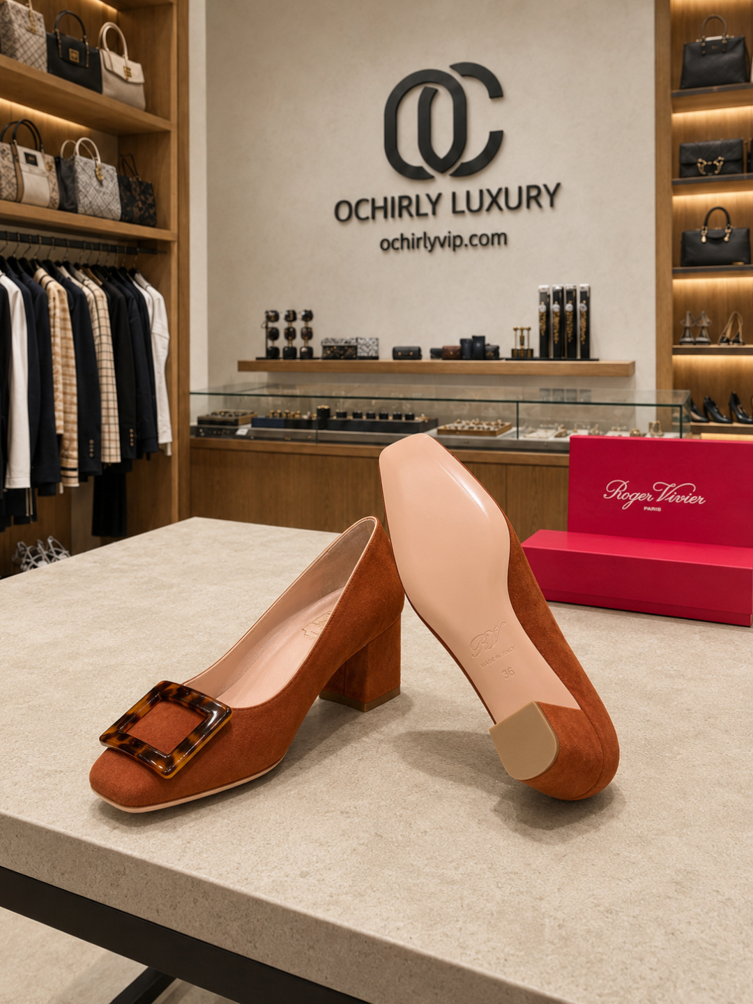 Roger Vivier Belle Vivier Suede Buckle Pumps Brown