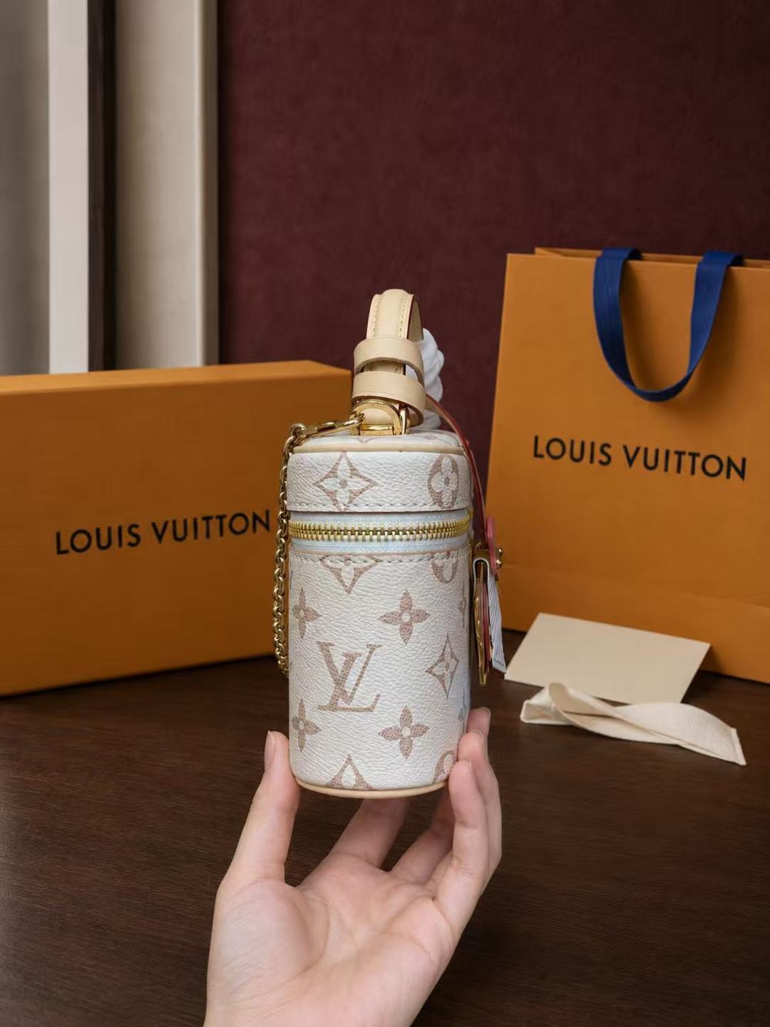 Louis Vuitton Vanity Chain Pouch bag