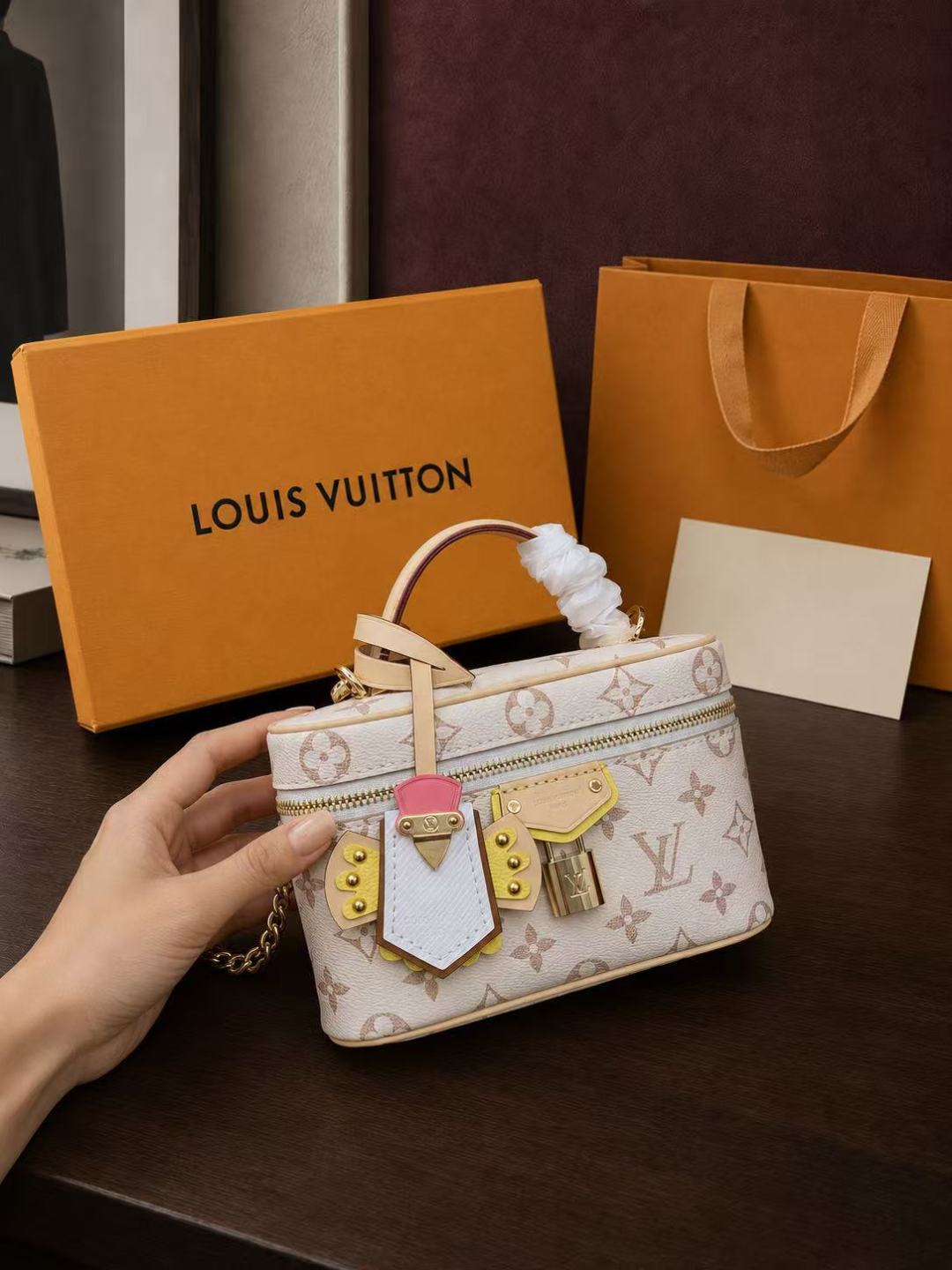 Louis Vuitton Vanity Chain Pouch bag