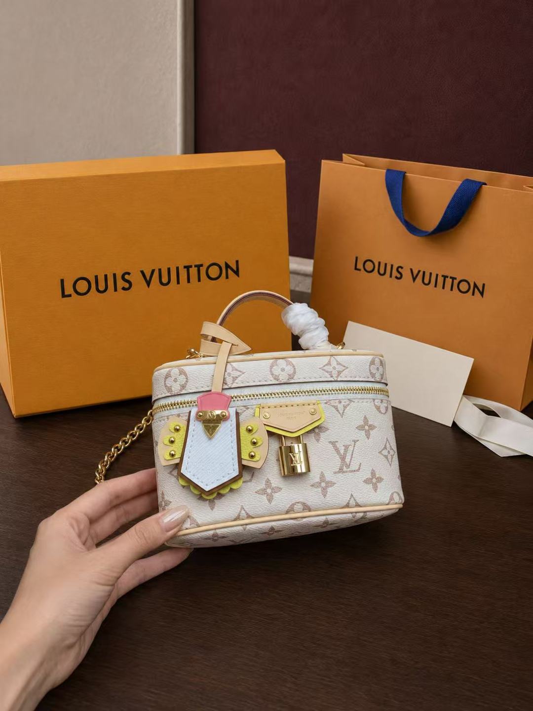 Louis Vuitton Vanity Chain Pouch bag