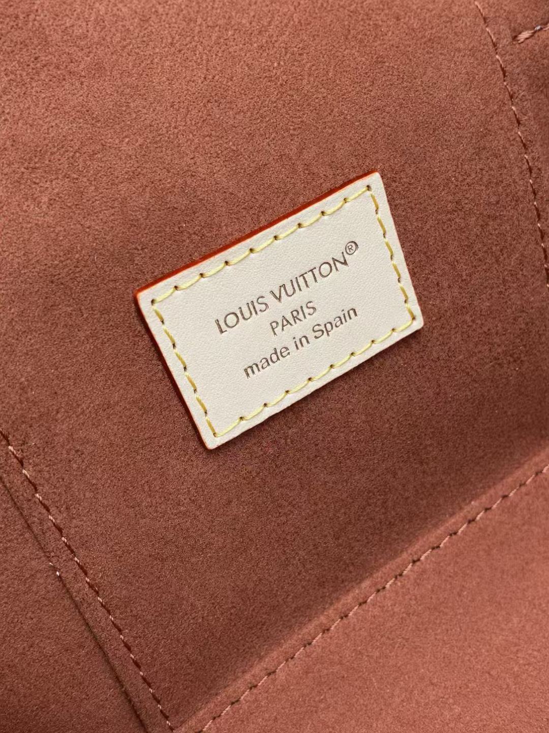 Louis Vuitton Vanity Chain Pouch bag