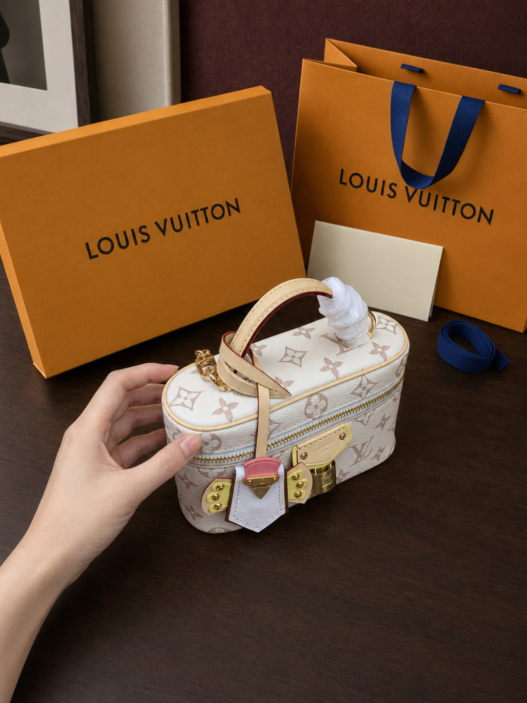 Louis Vuitton Vanity Chain Pouch bag