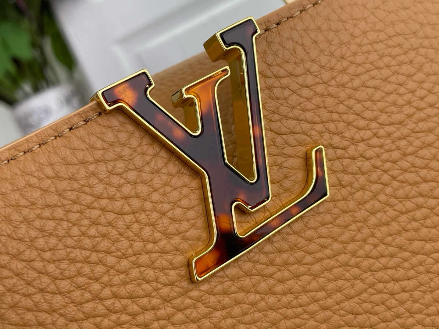 Louis Vuitton Capucines Handbag